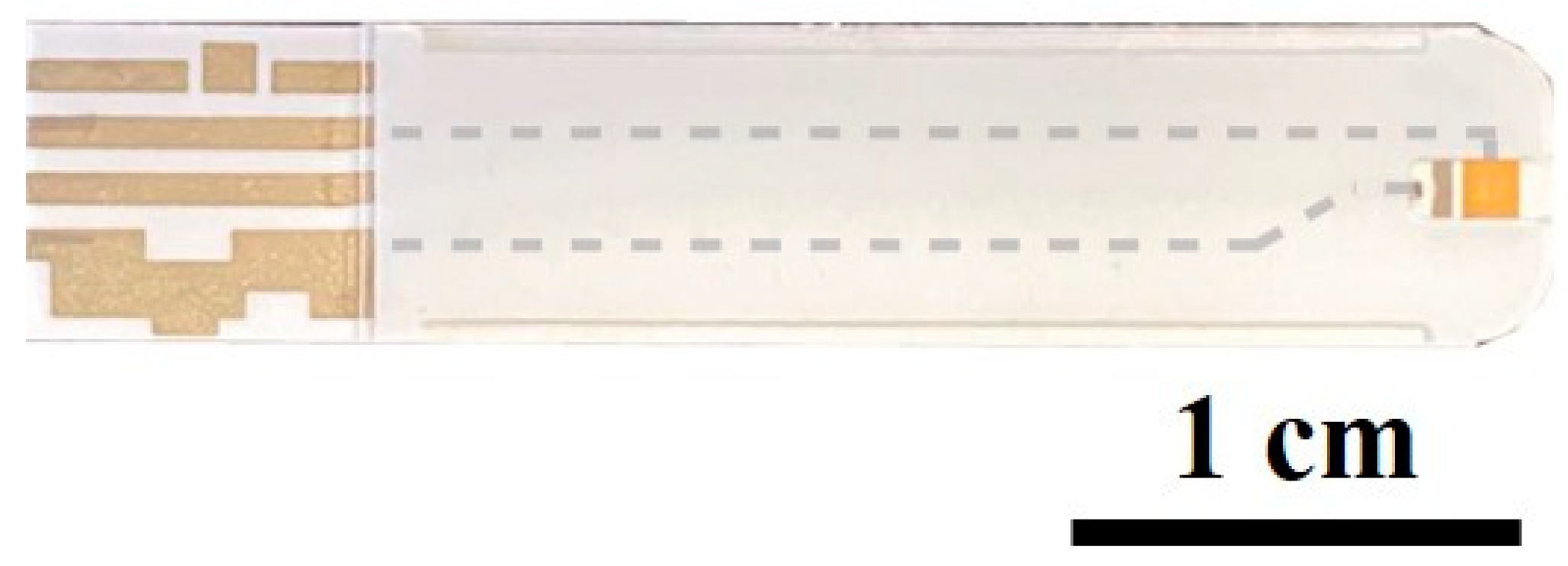 Preprints 104990 g001