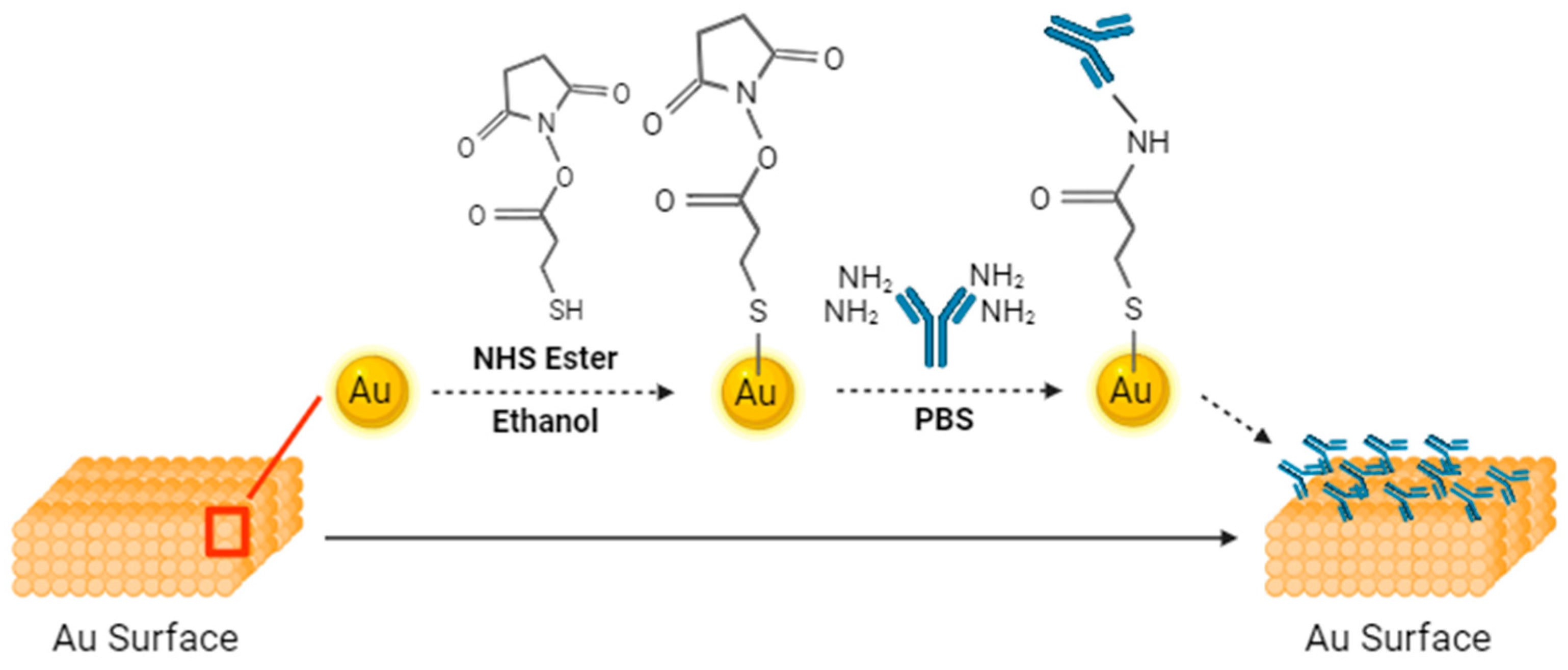Preprints 104990 g002