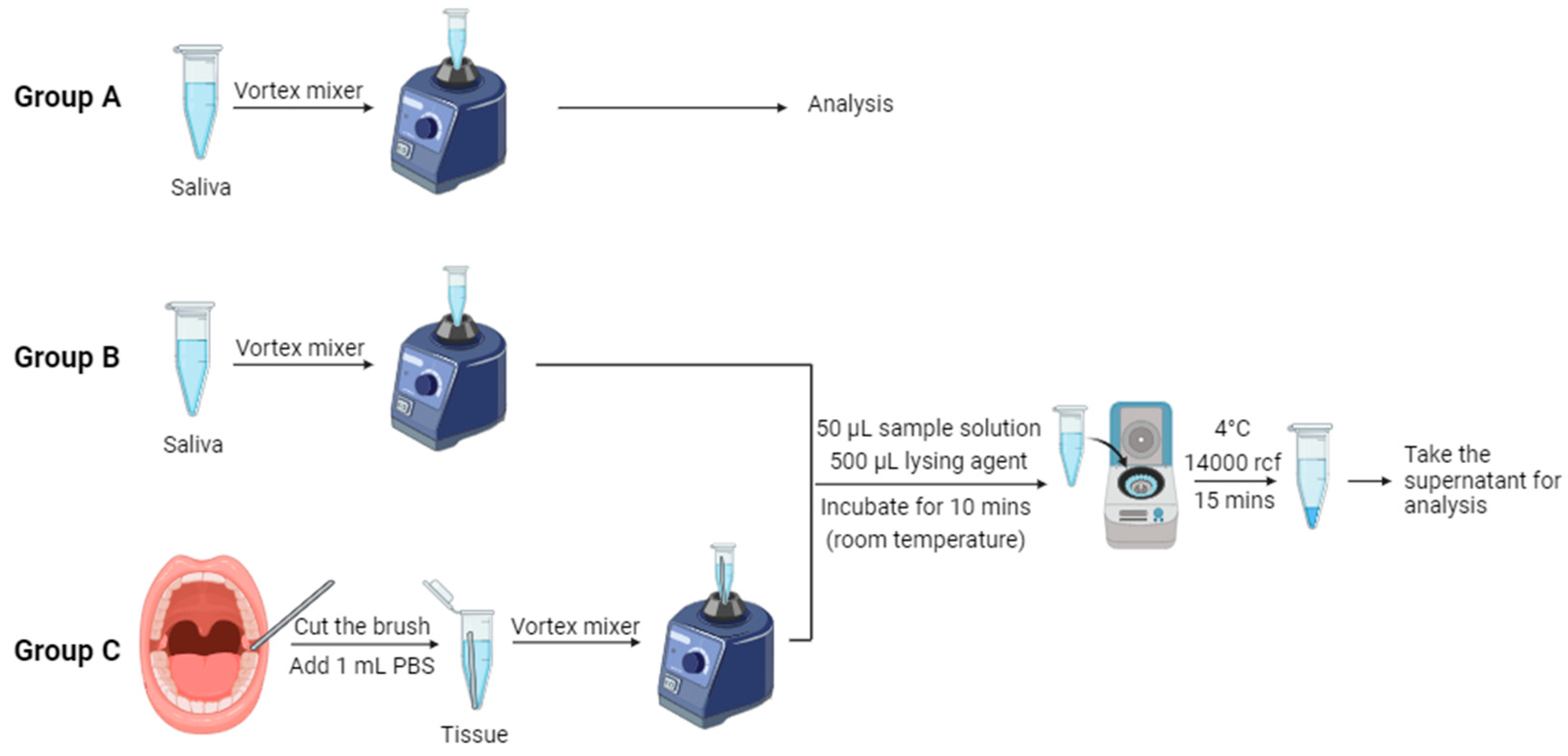Preprints 104990 g003
