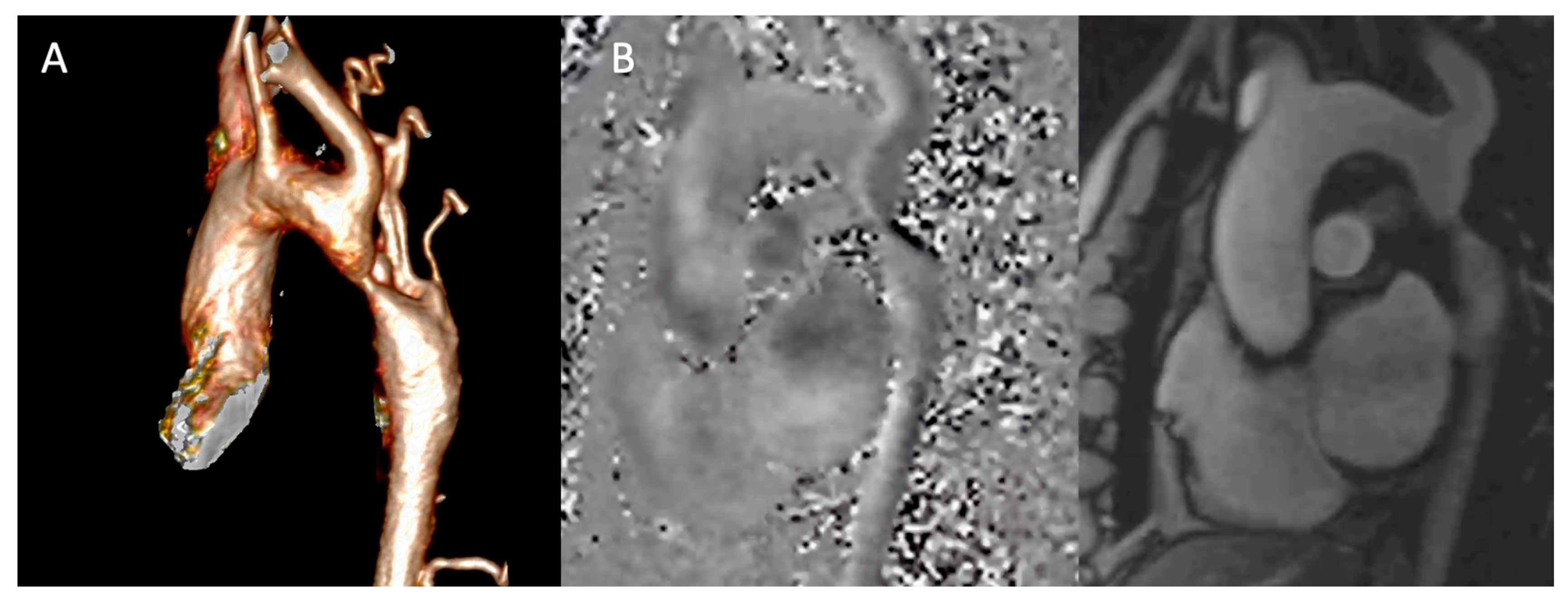 Preprints 191105 g003