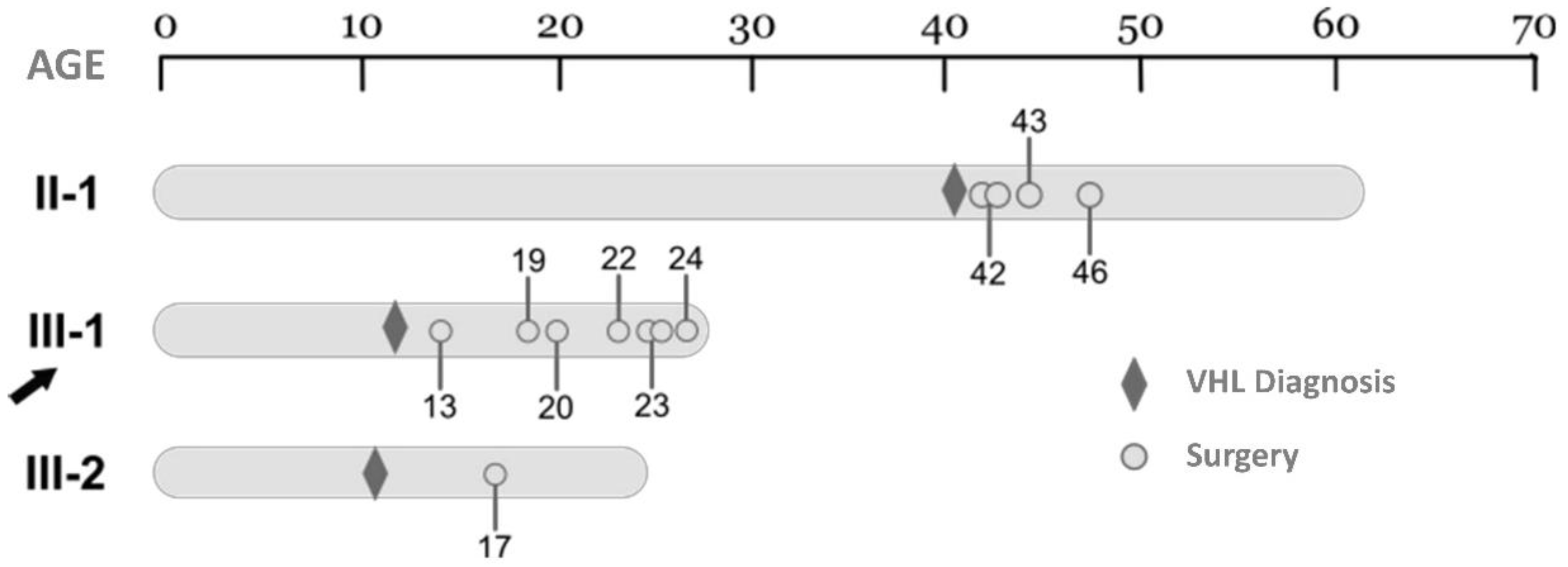 Preprints 160437 g001