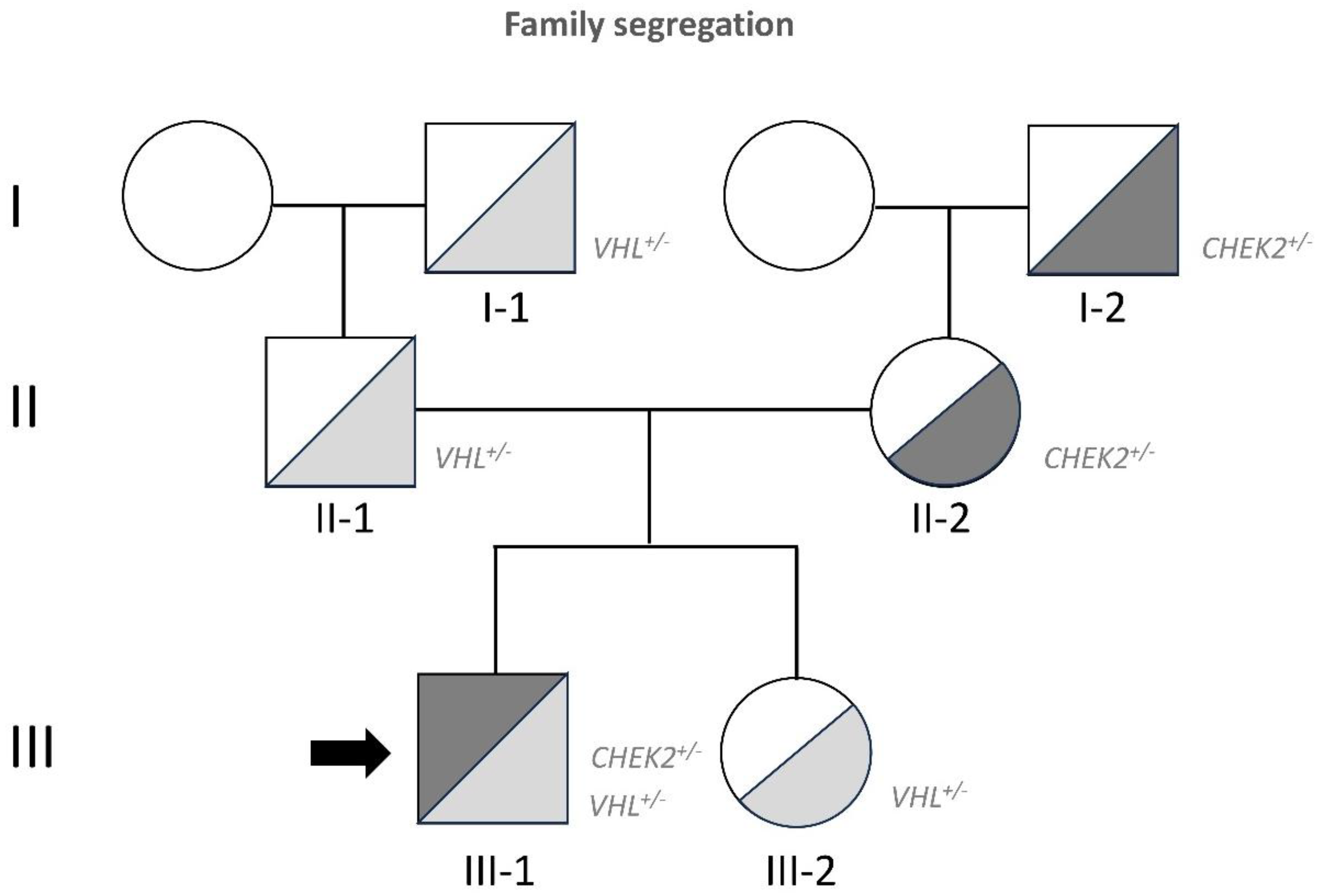 Preprints 160437 g002