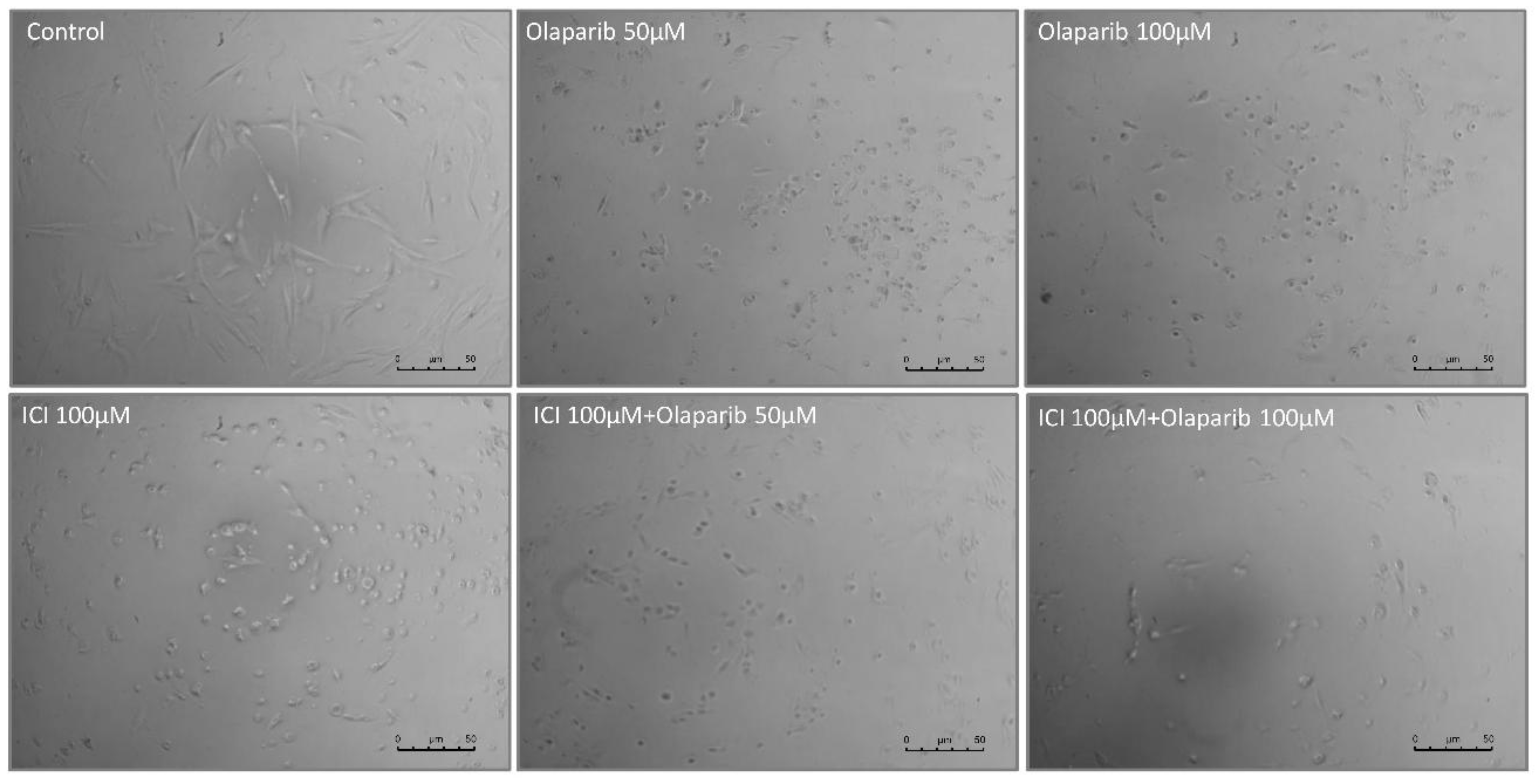 Preprints 160437 g004