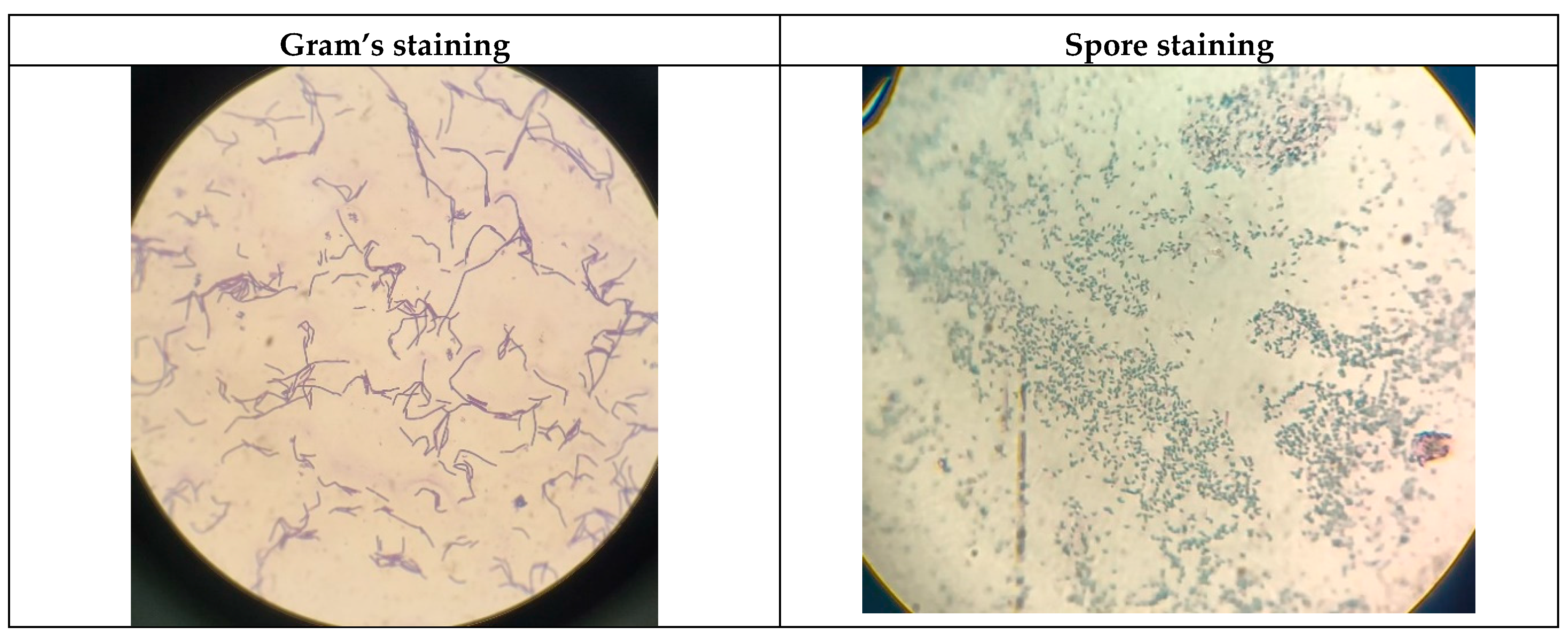 Preprints 171613 g001