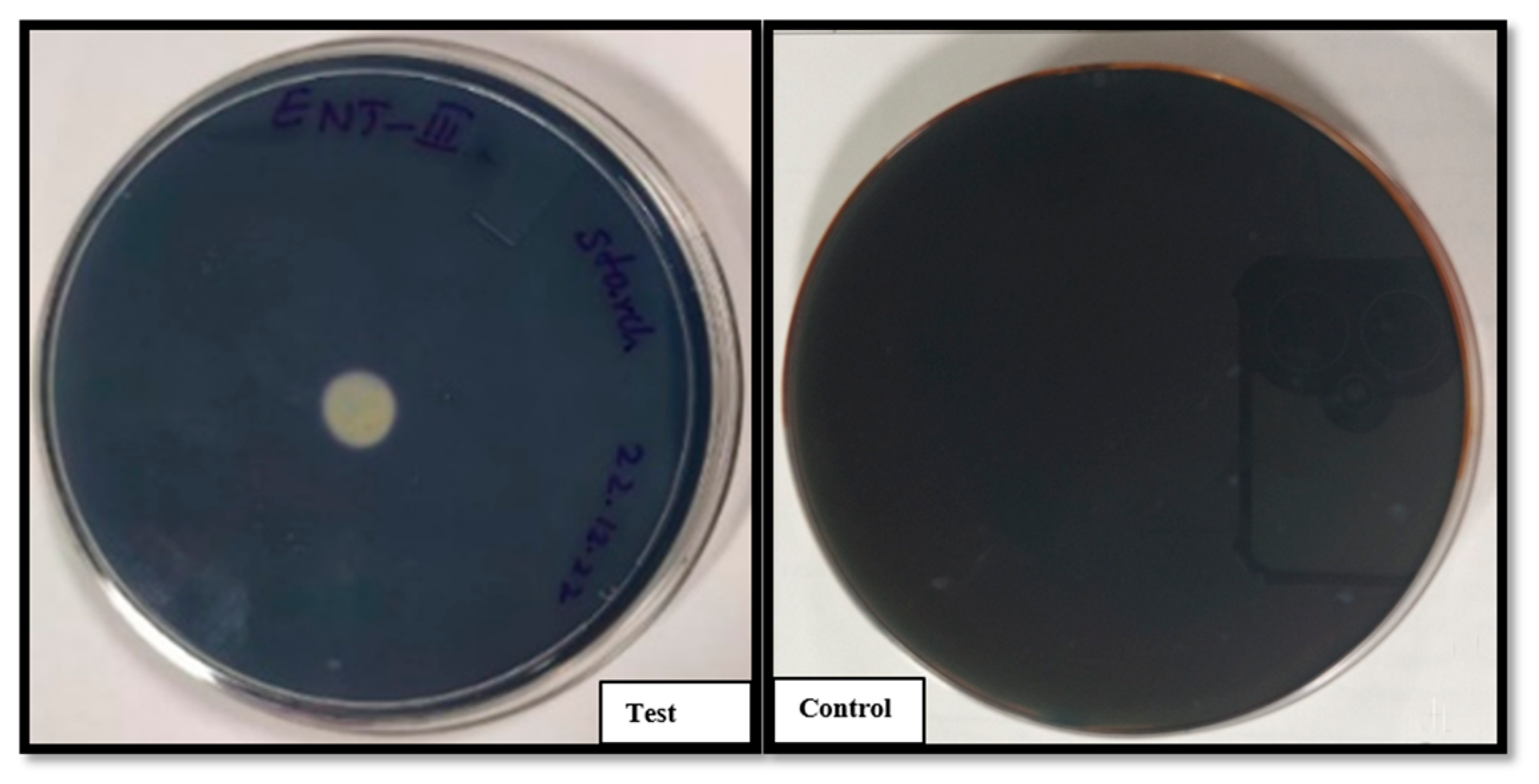 Preprints 171613 g003