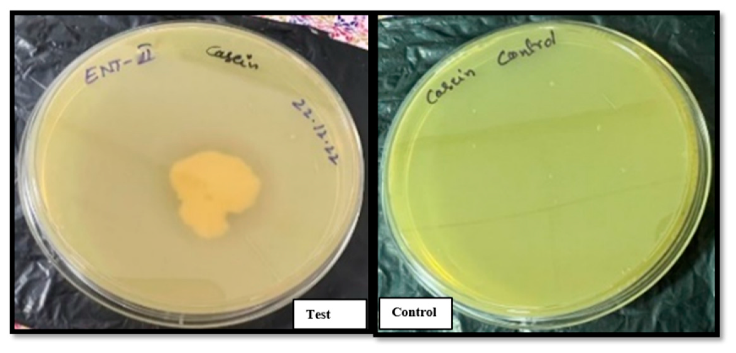 Preprints 171613 g004