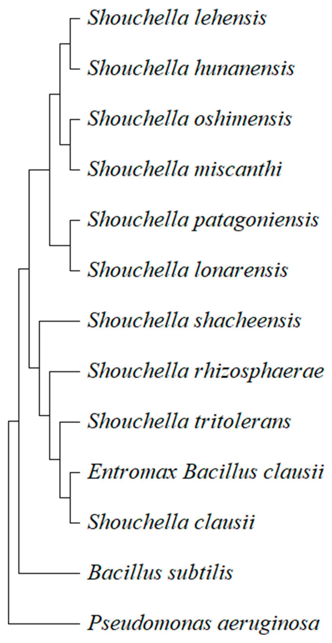 Preprints 171613 g007