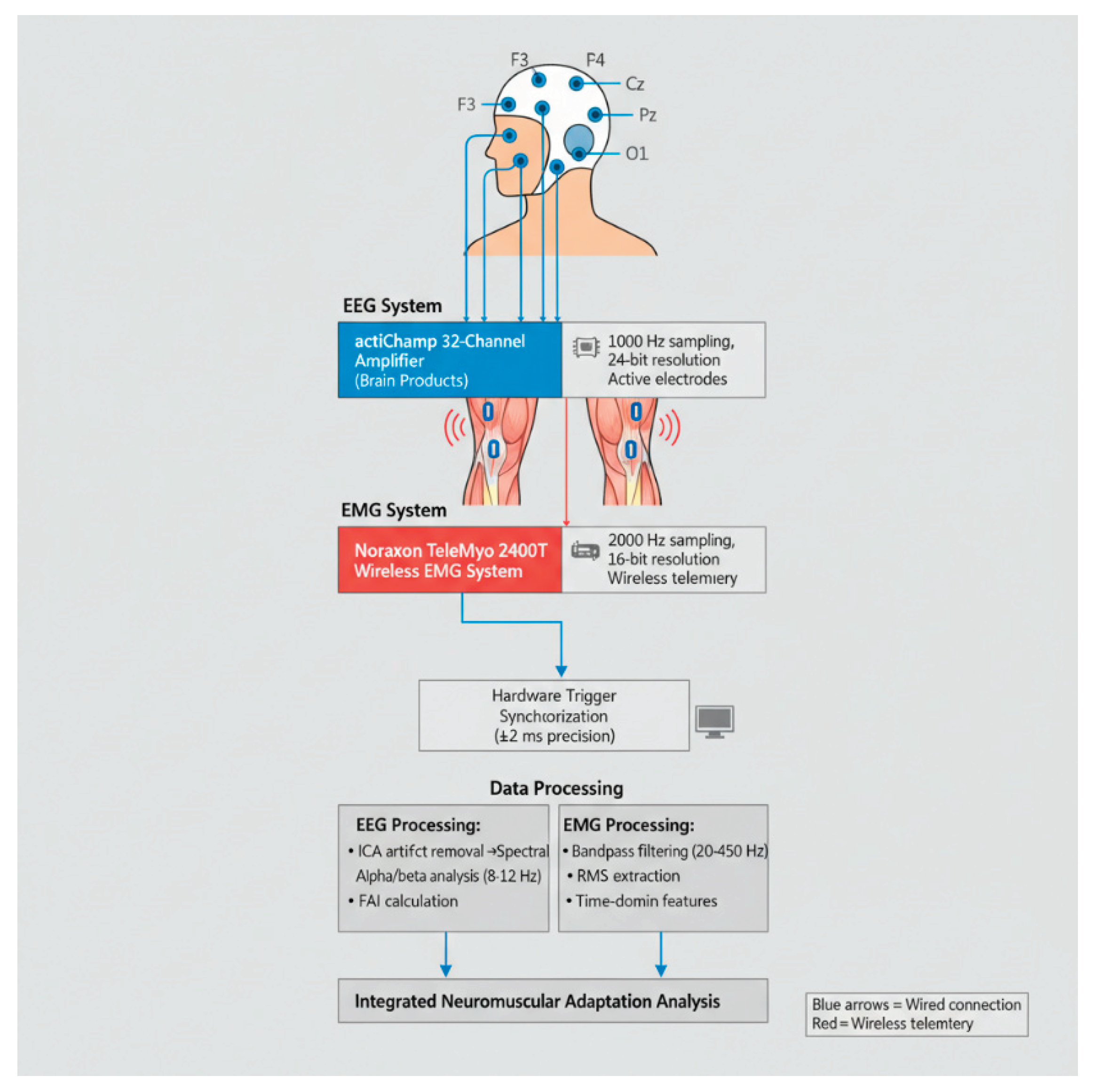 Preprints 200188 g001