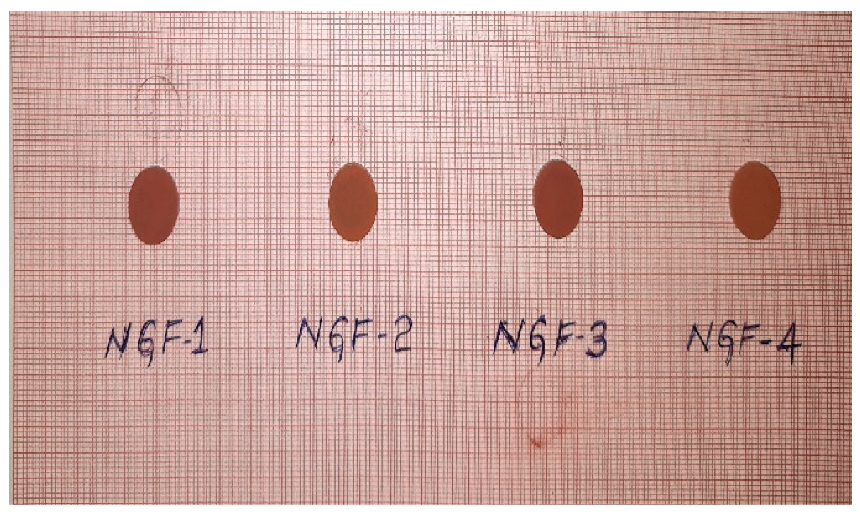 Preprints 73291 g003