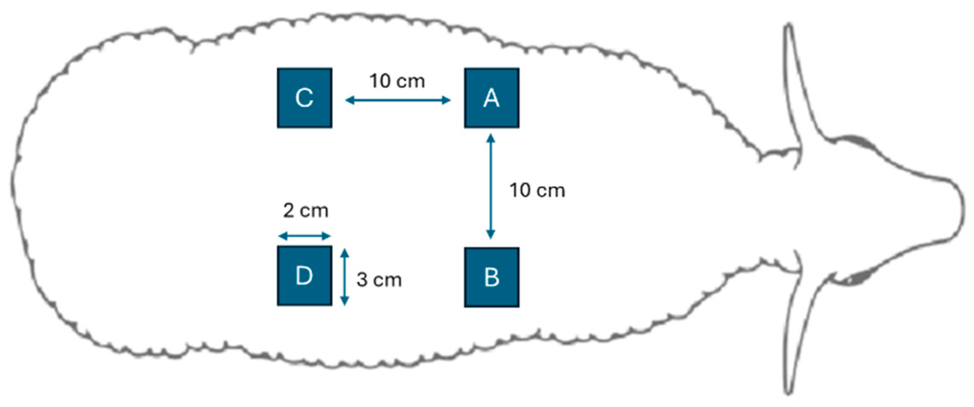 Preprints 146373 g001