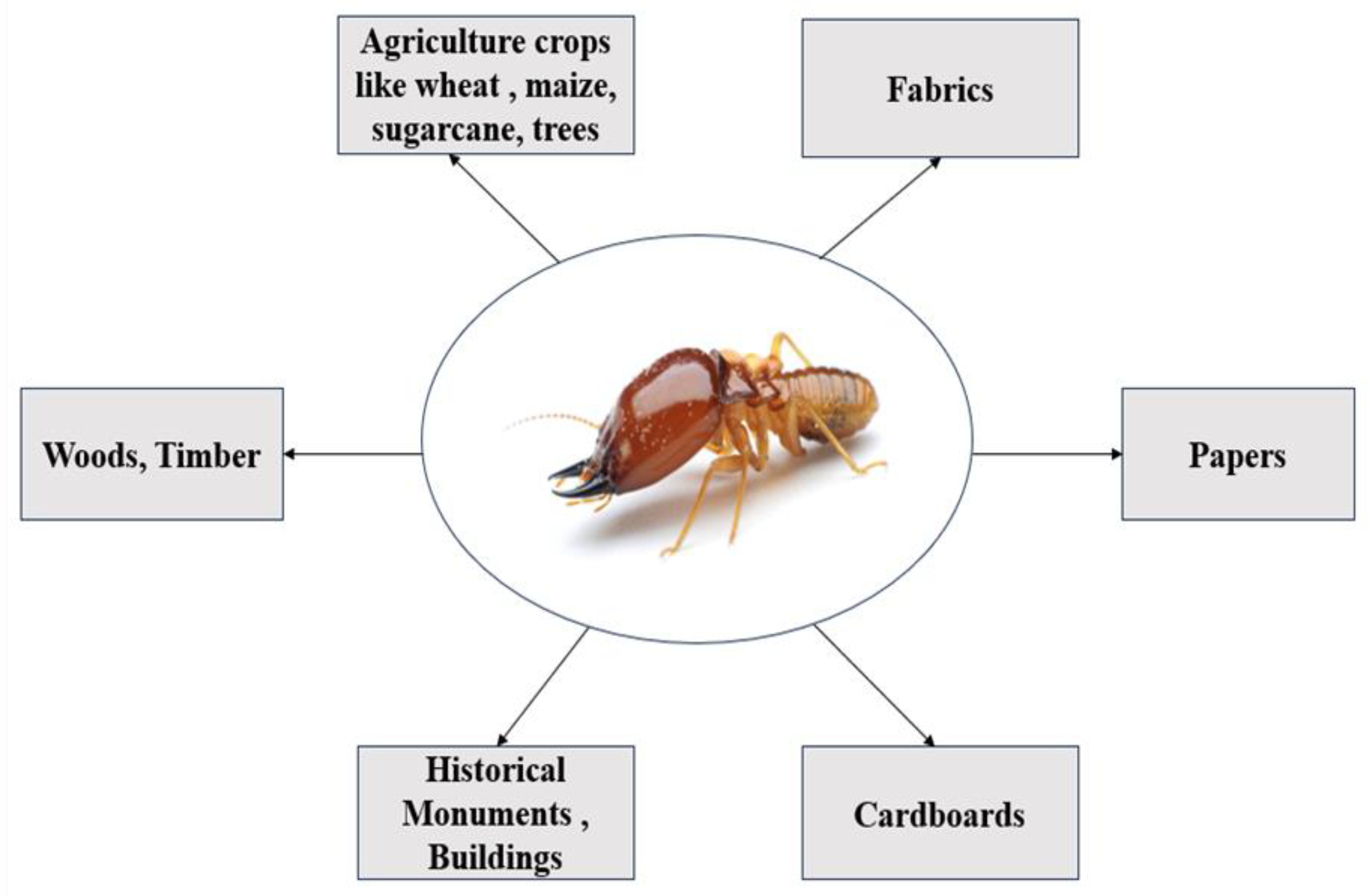 Preprints 102390 g003