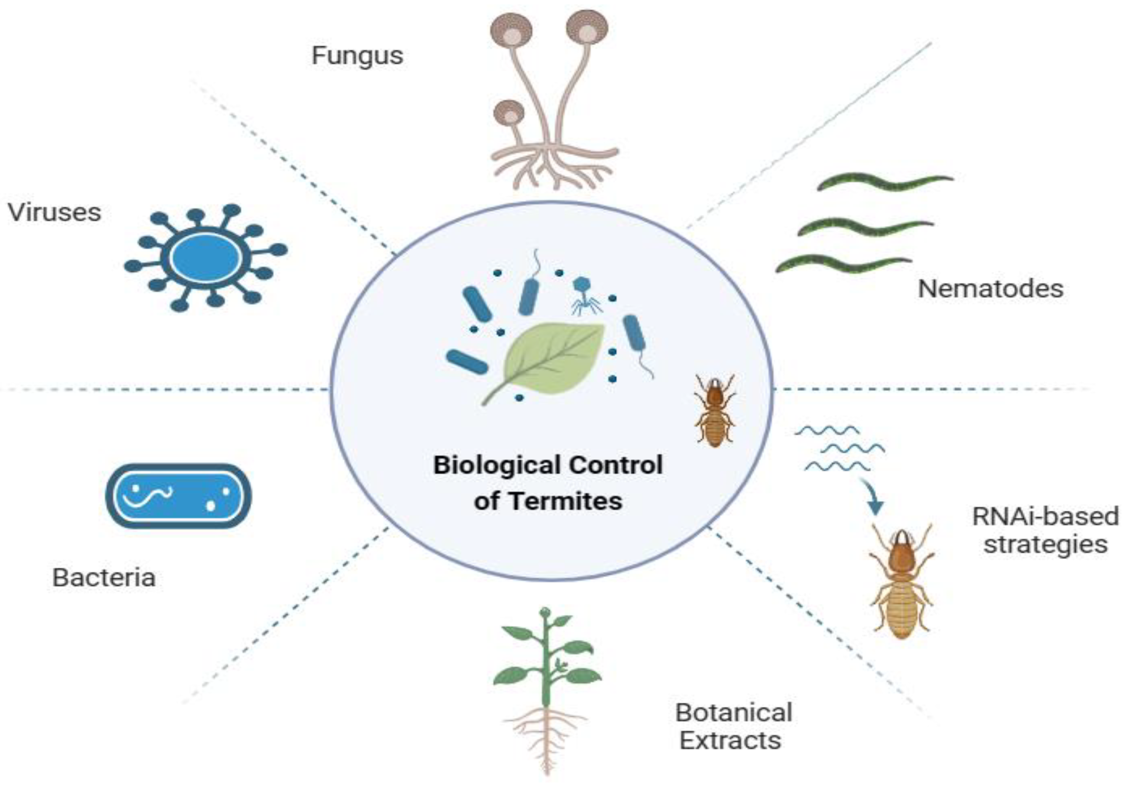 Preprints 102390 g005