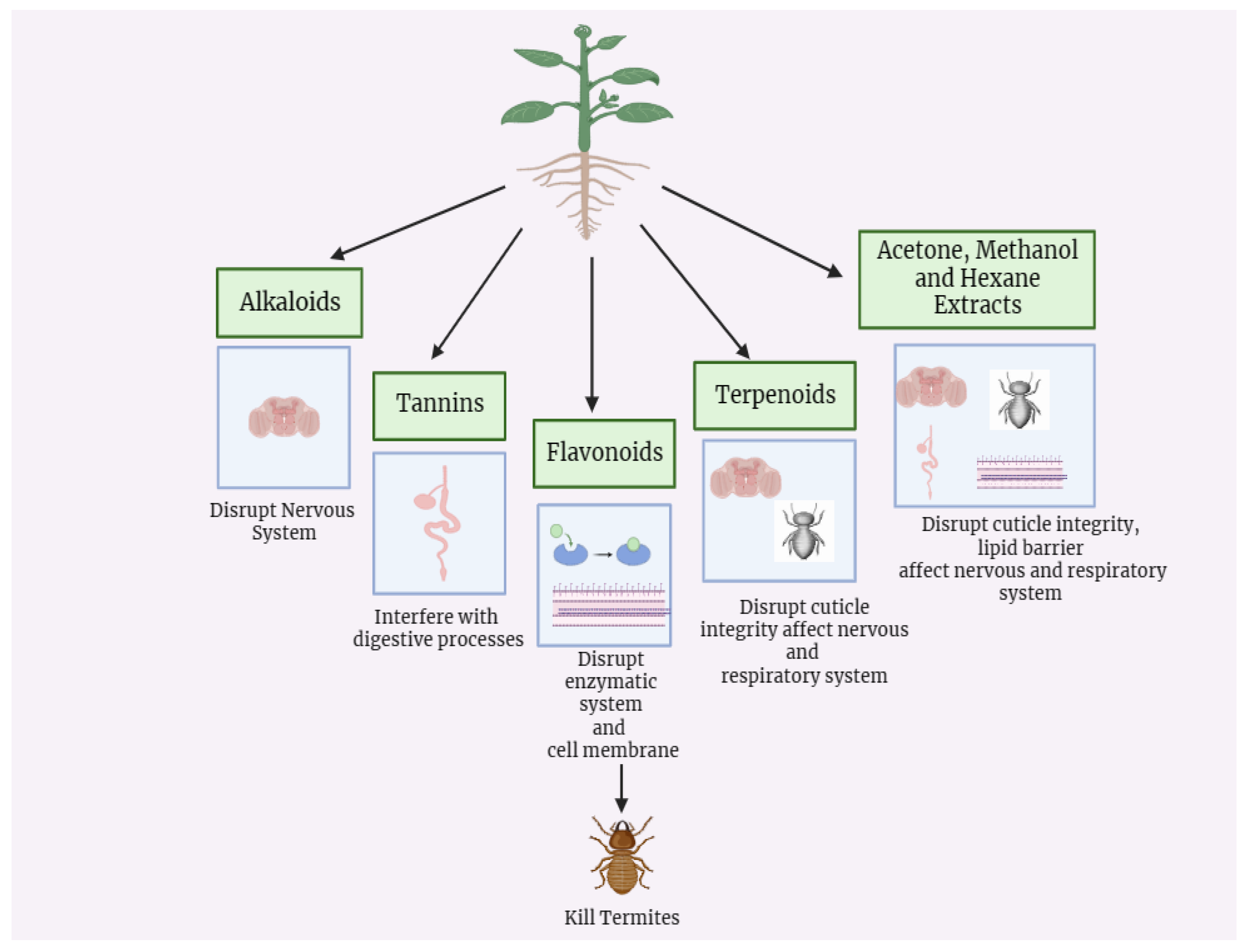 Preprints 102390 g006