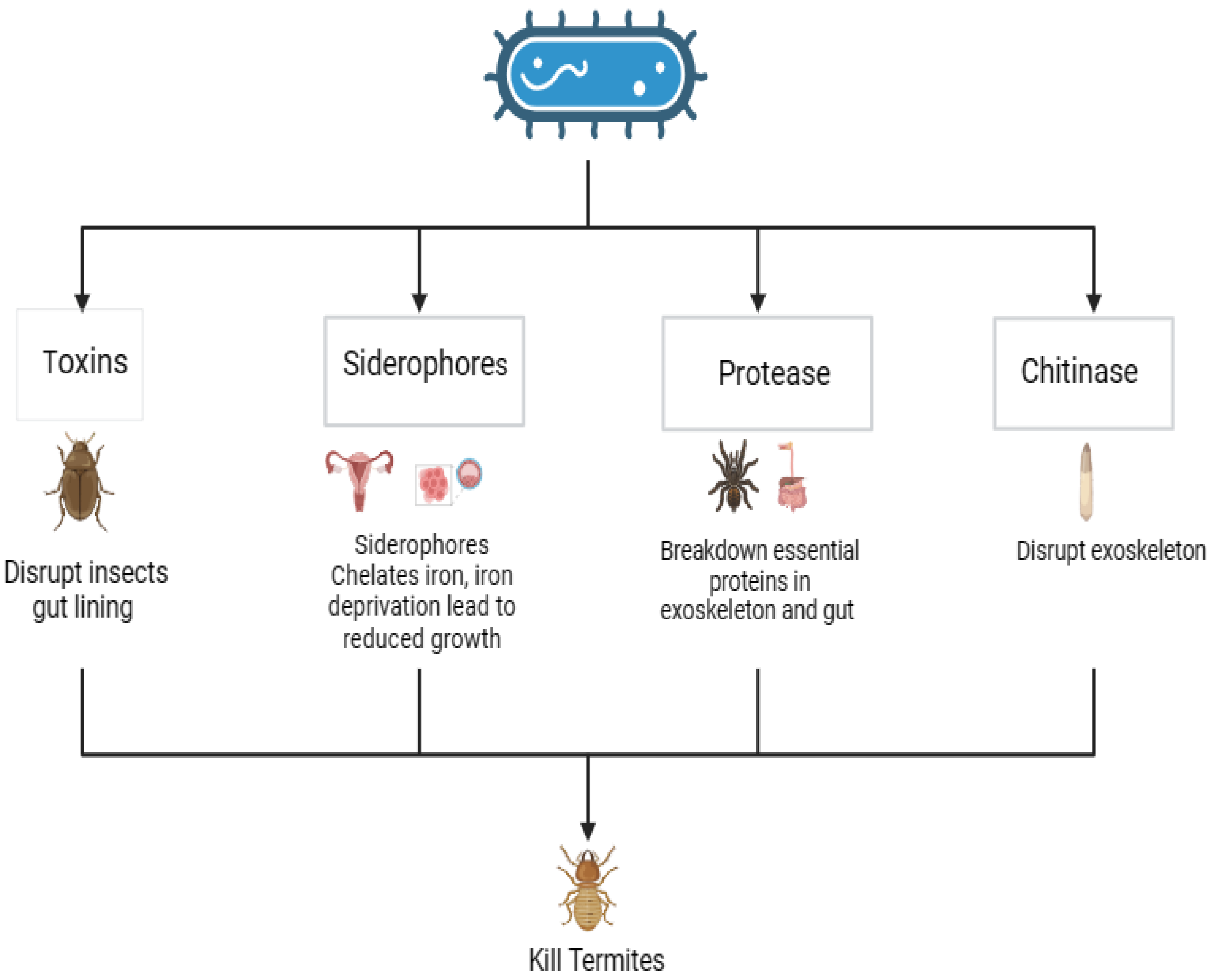 Preprints 102390 g007