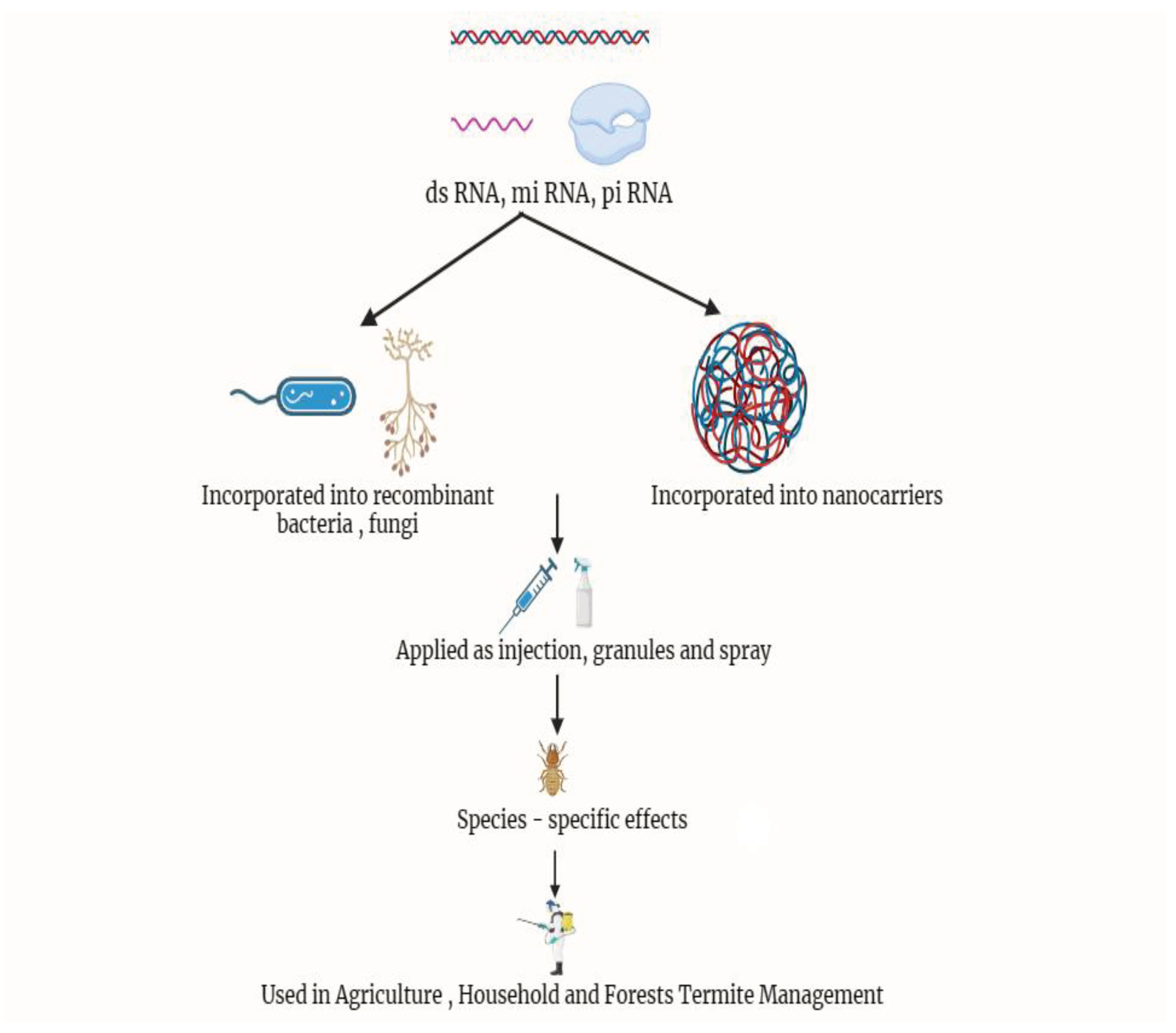 Preprints 102390 g008