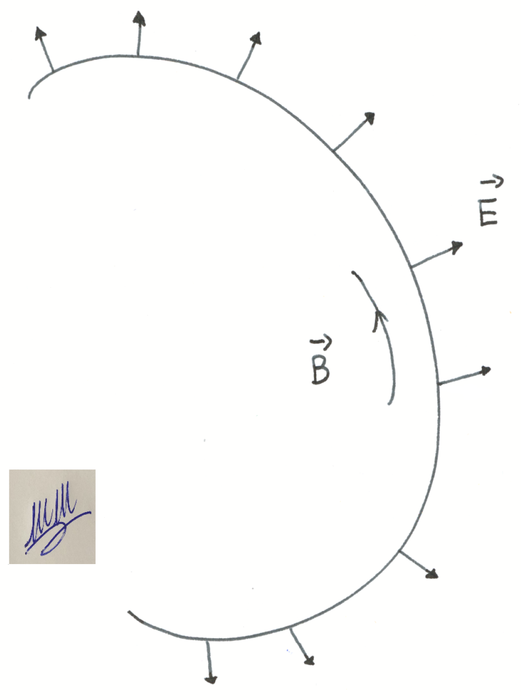 Preprints 144566 g006