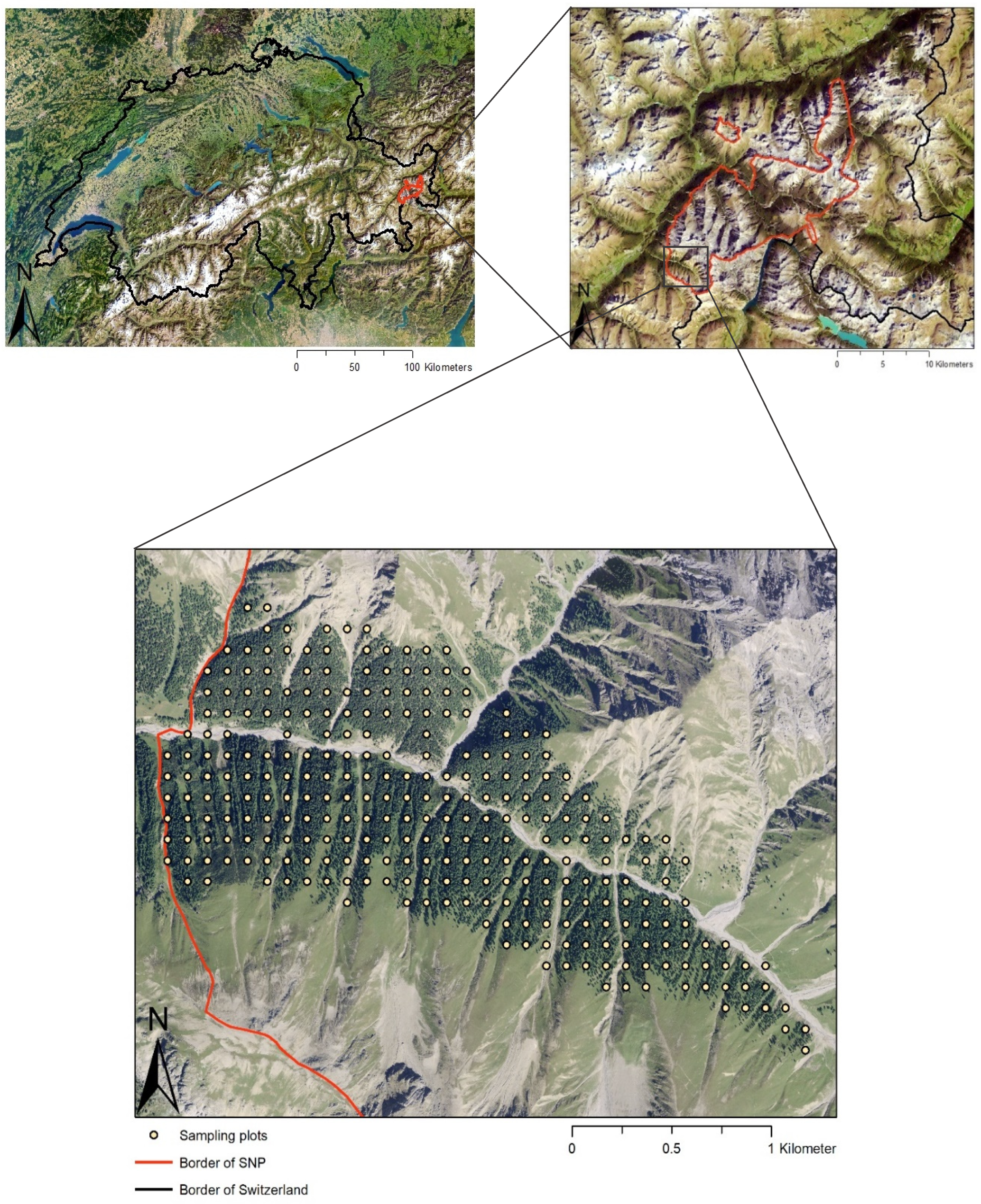 Preprints 70043 g001