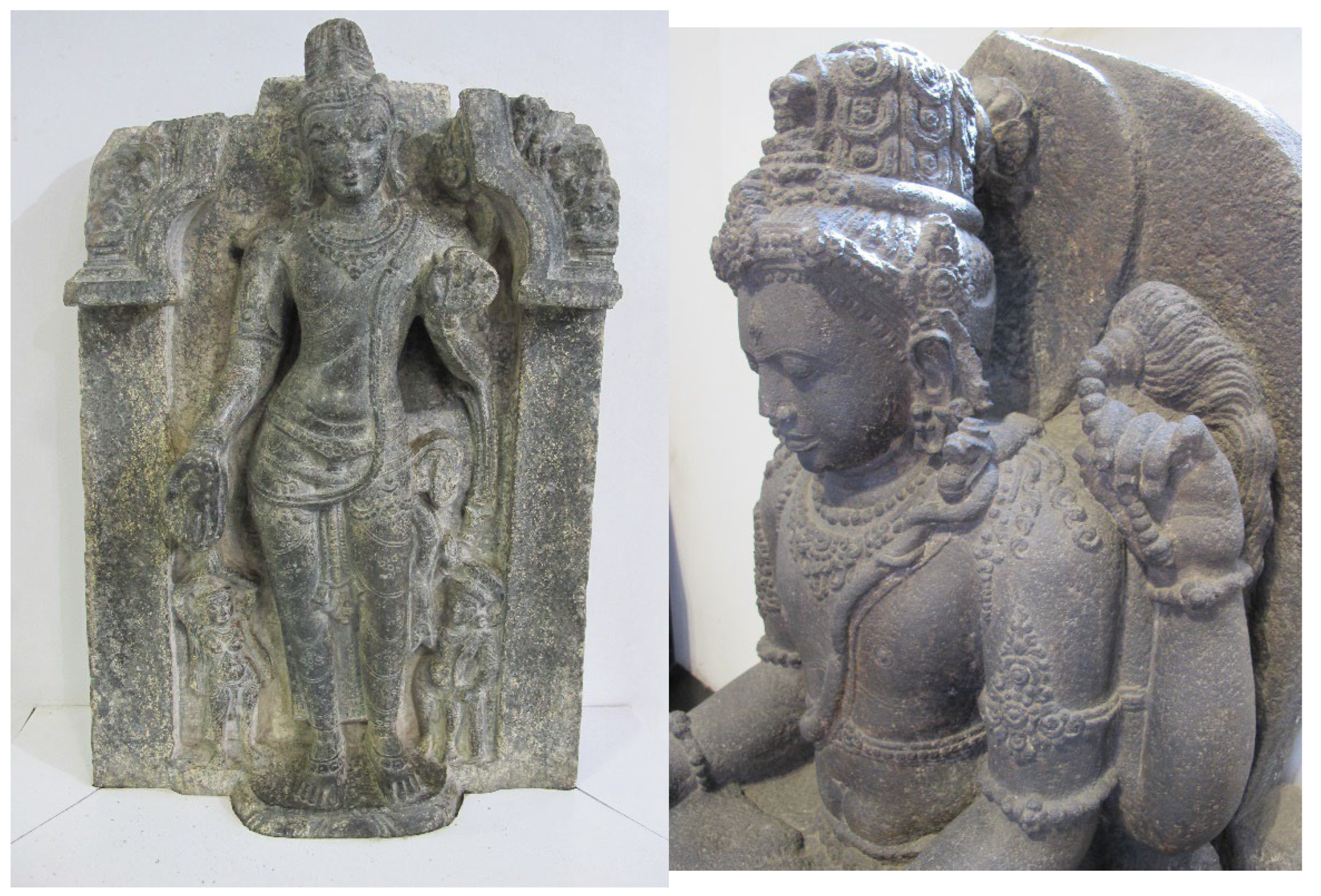 Preprints 143110 g005