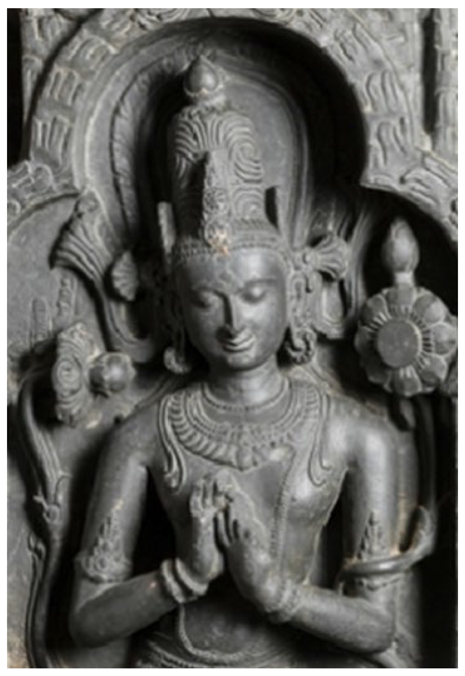 Preprints 143110 g007