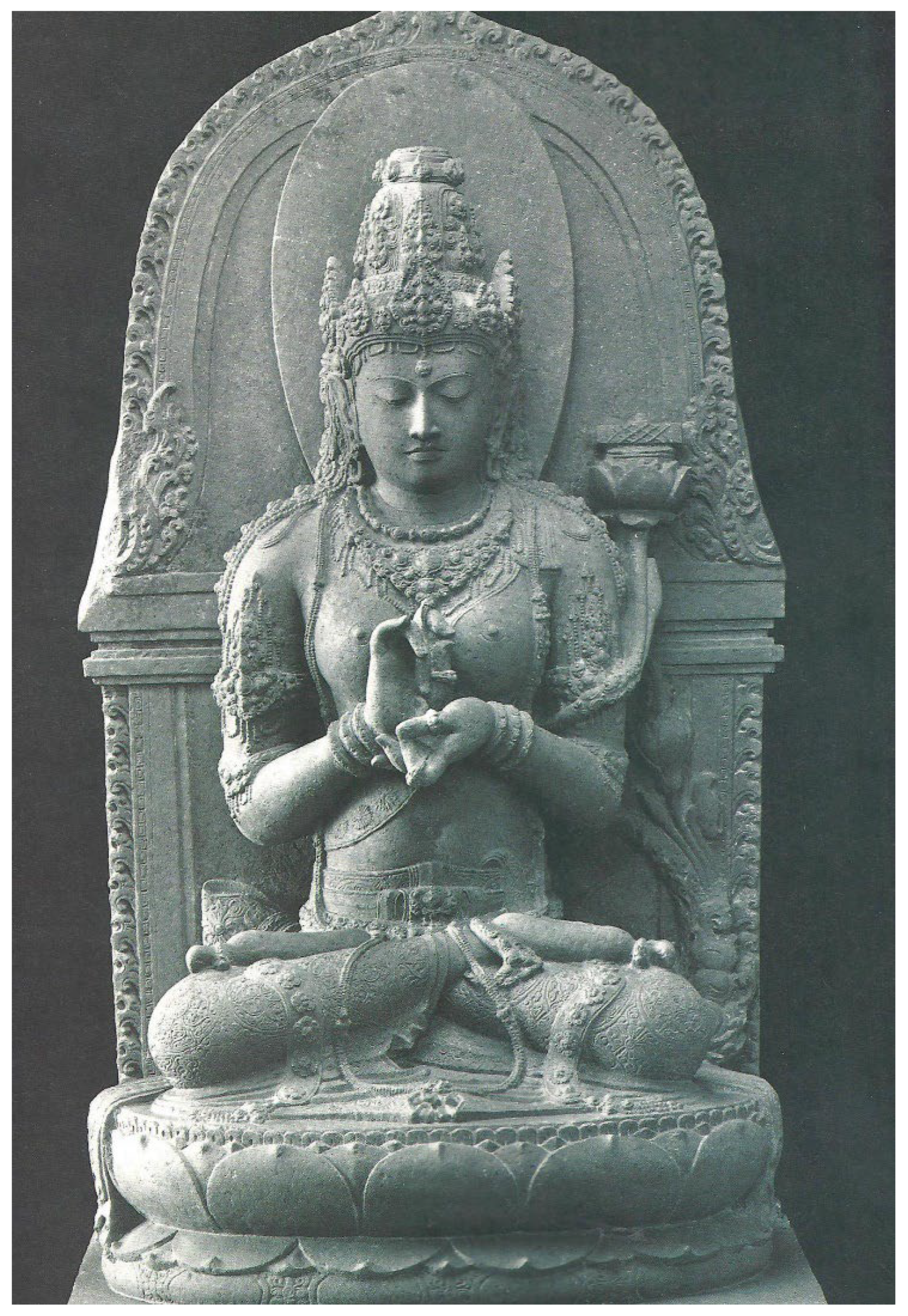 Preprints 143110 g008