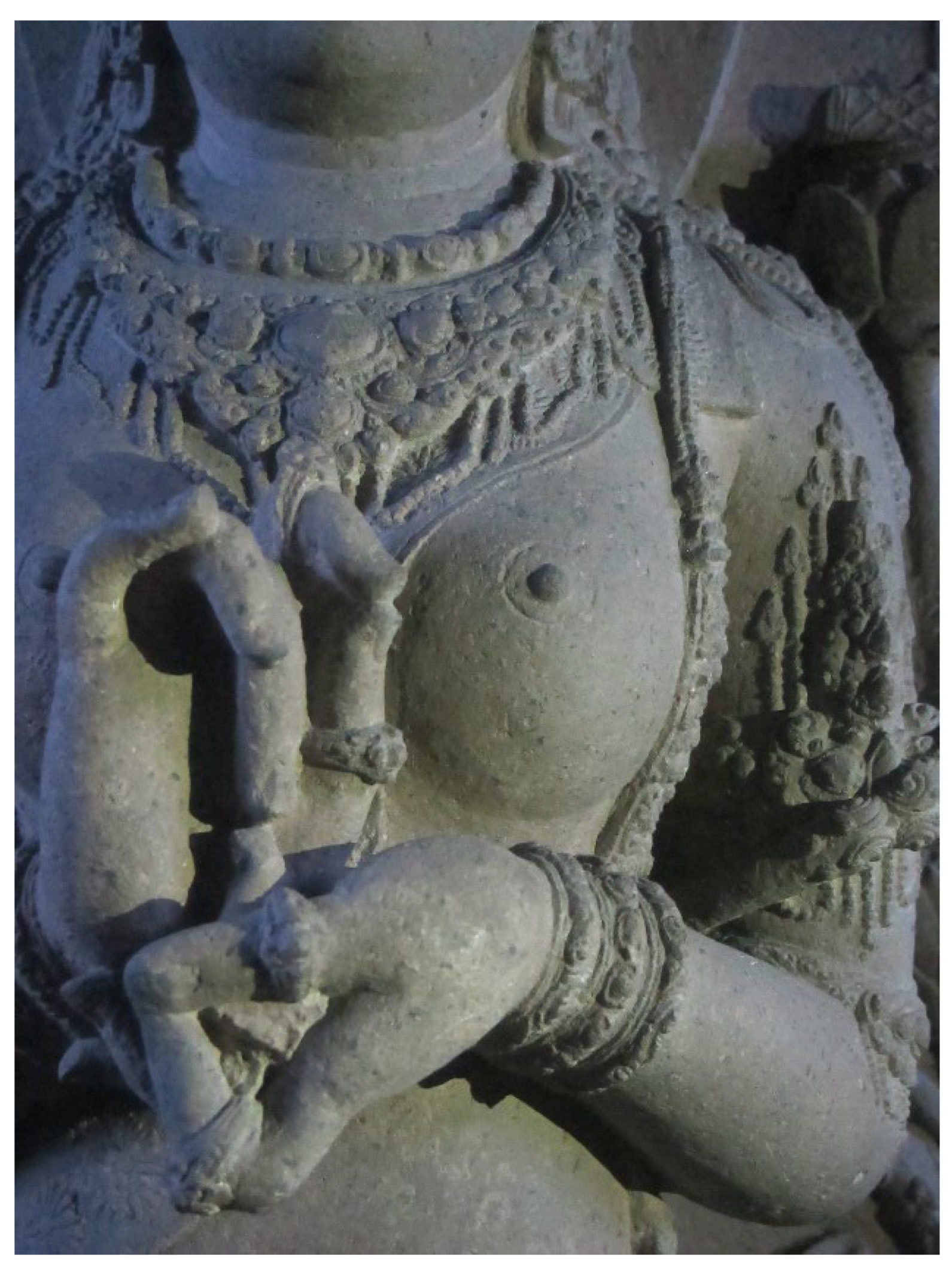 Preprints 143110 g009