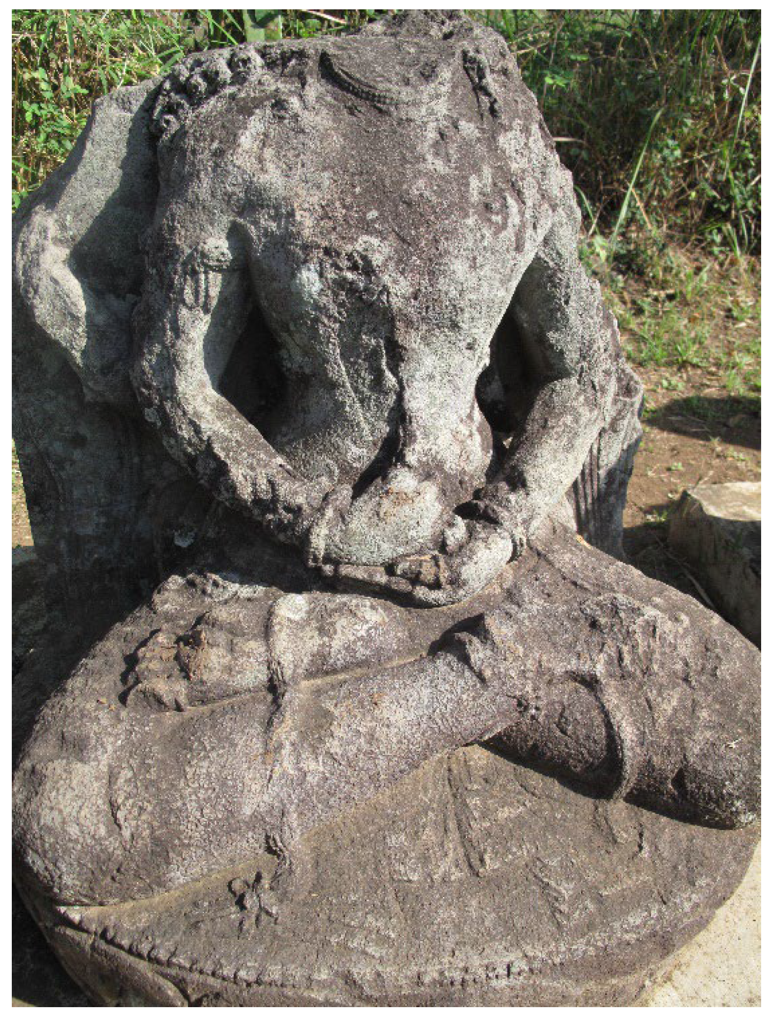 Preprints 143110 g011