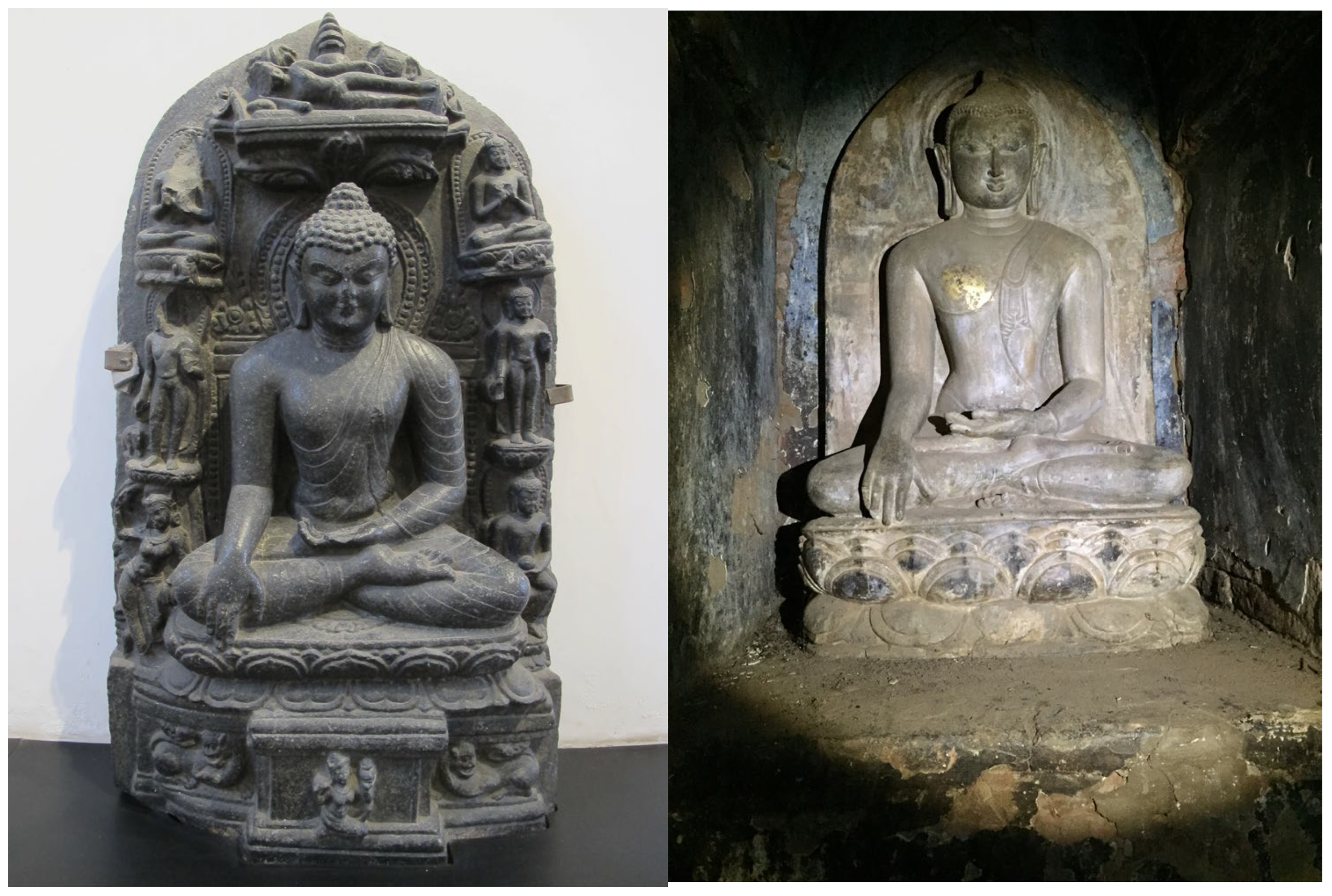 Preprints 143110 g017