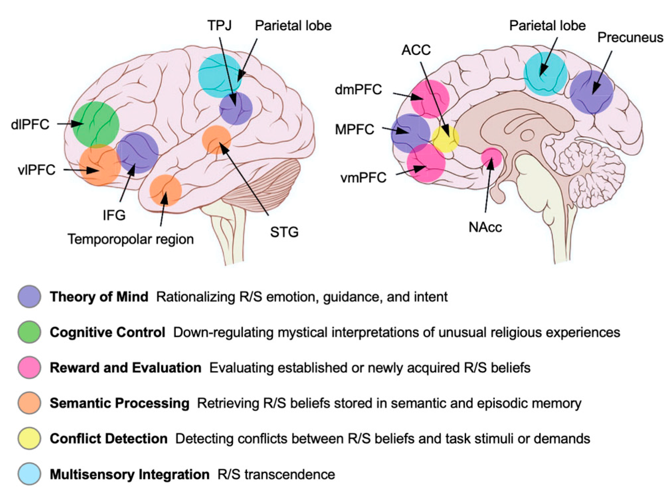 Preprints 183443 g001