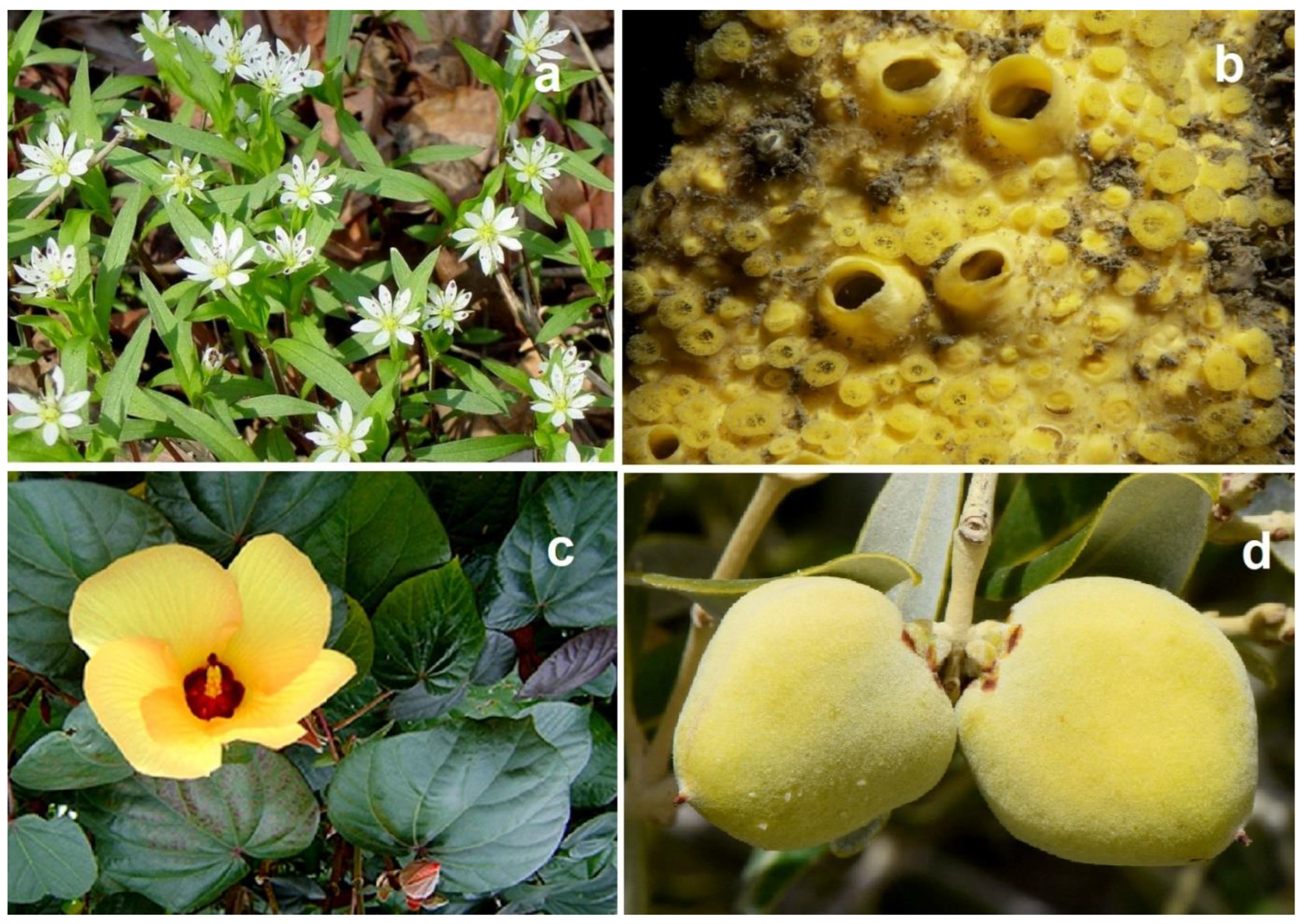 Preprints 189237 g003