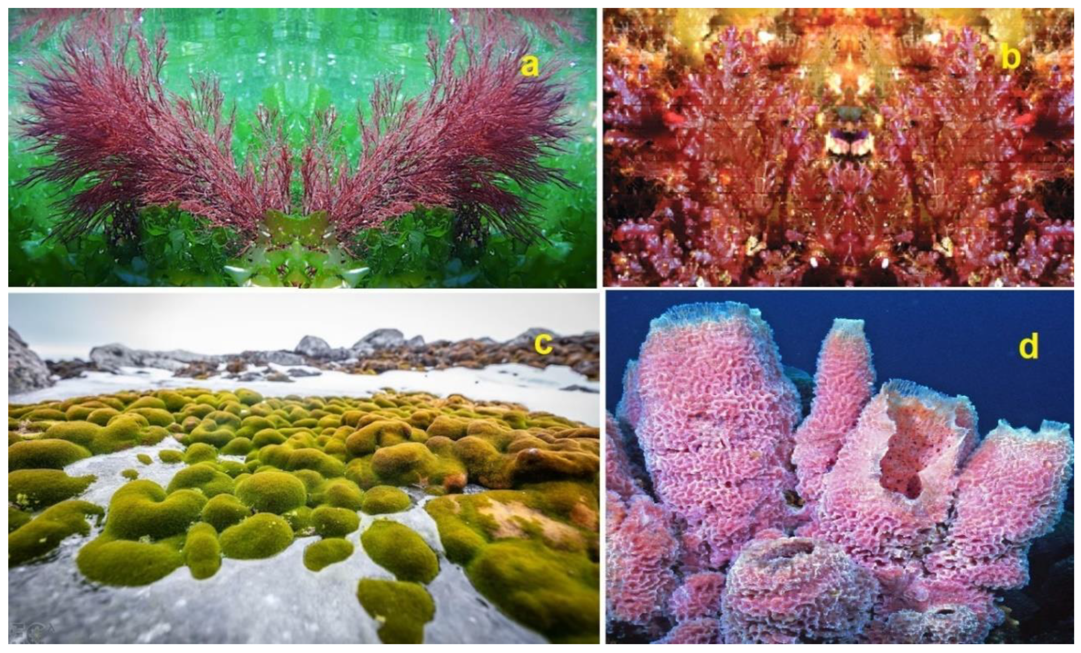 Preprints 189237 g006