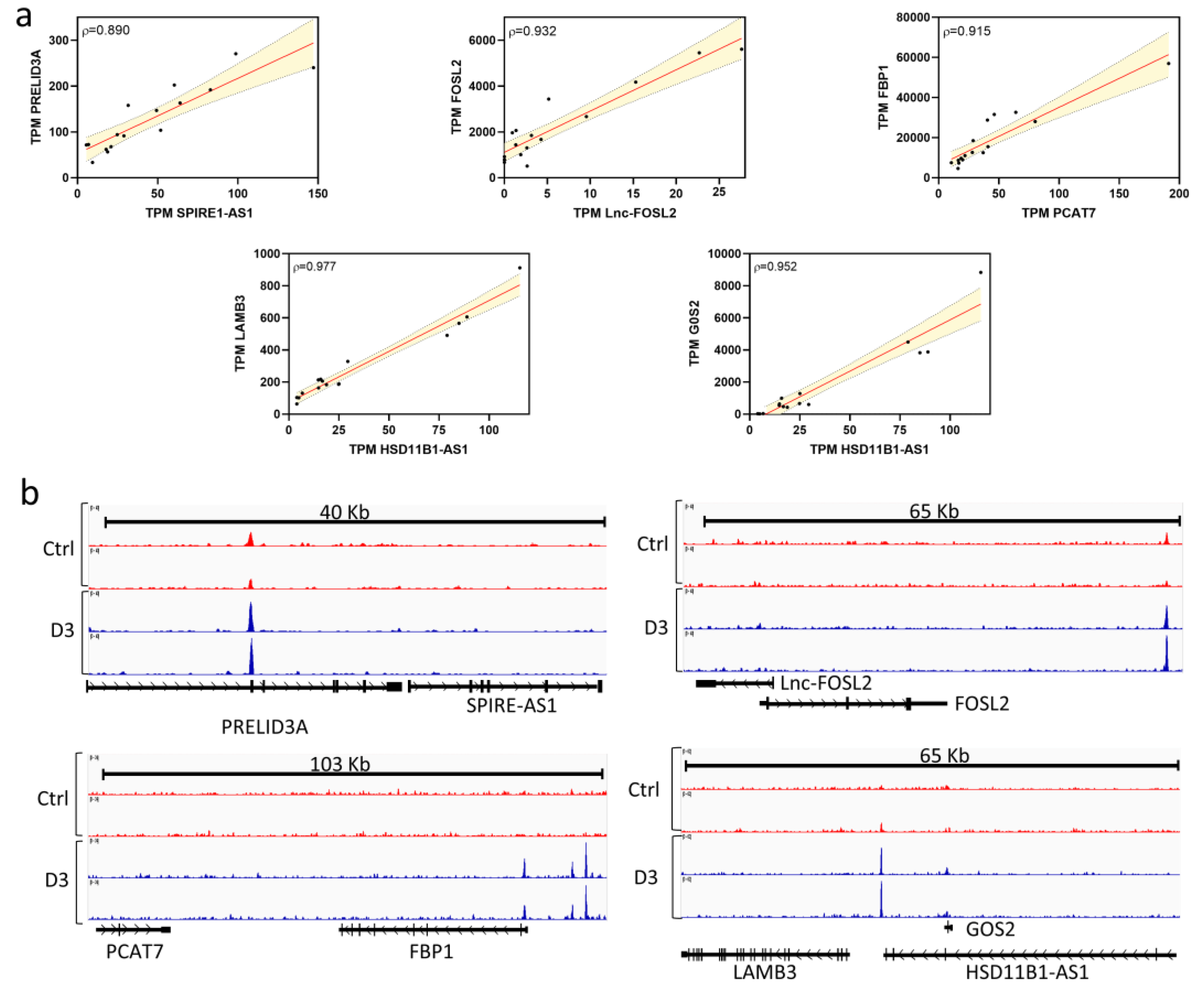Preprints 190230 g002