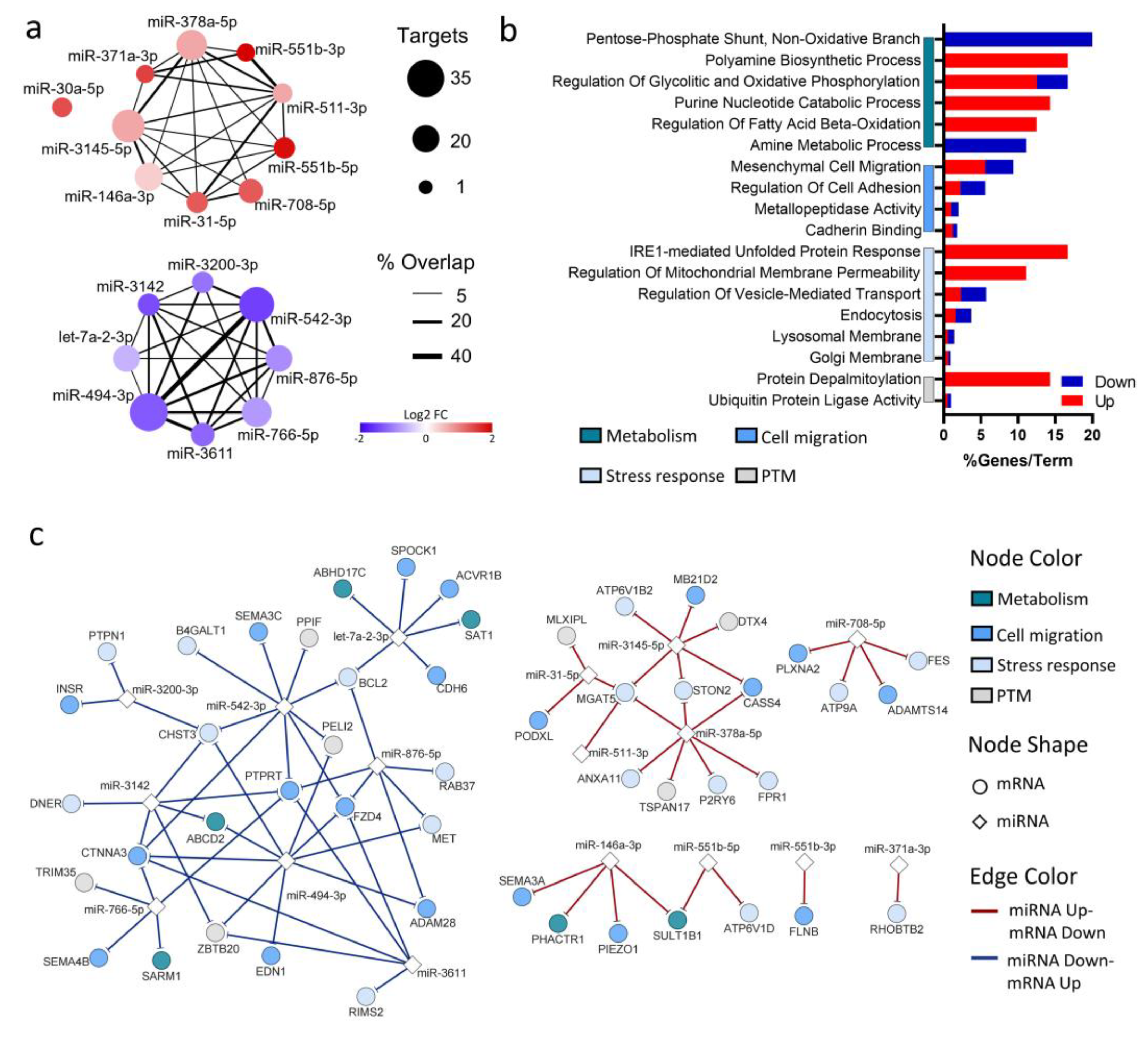 Preprints 190230 g004