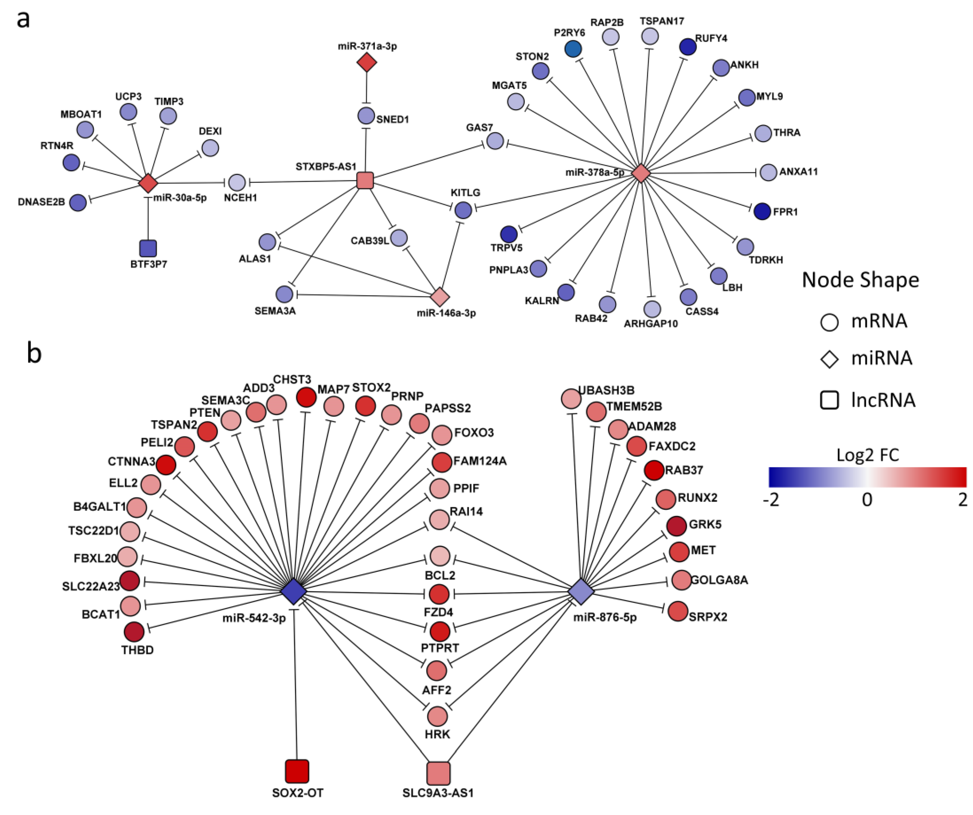 Preprints 190230 g005
