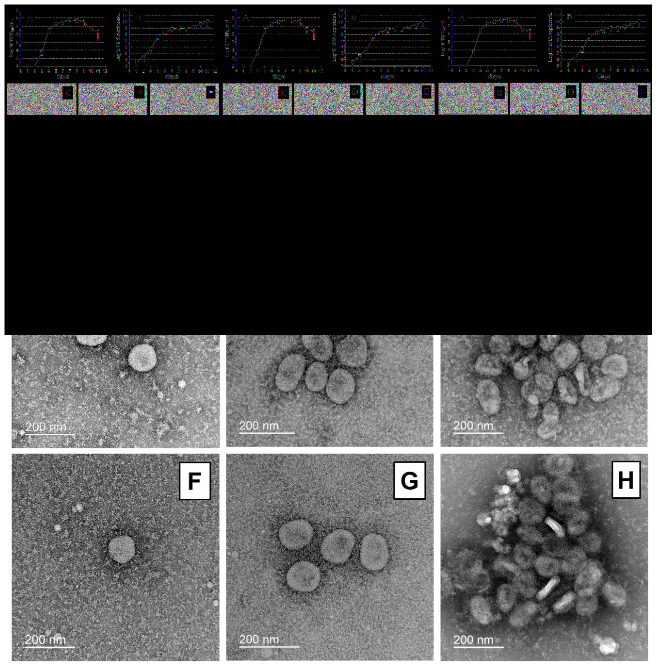 Preprints 233850 g002 Preprints 233850 g002