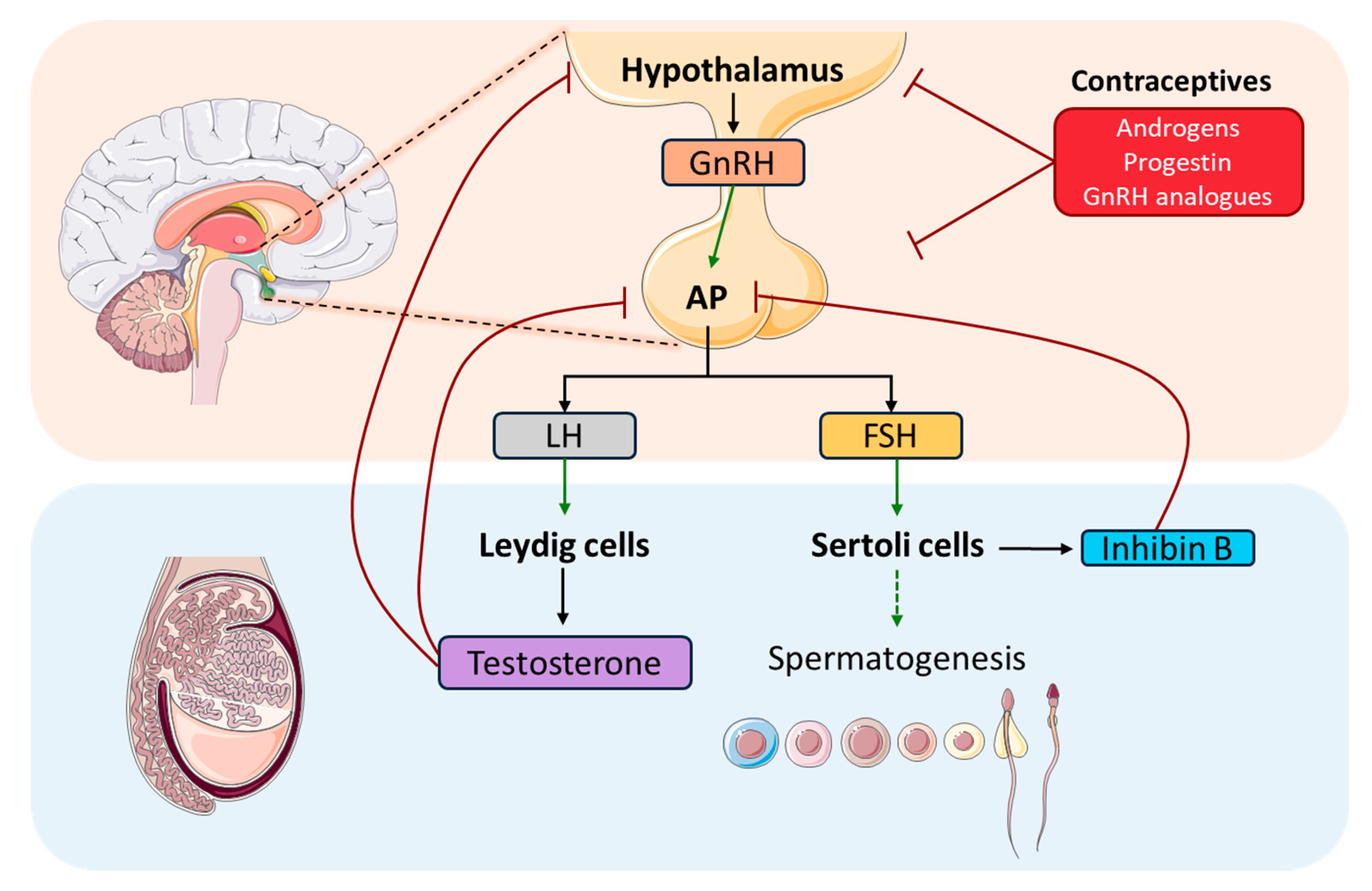Preprints 151514 g002