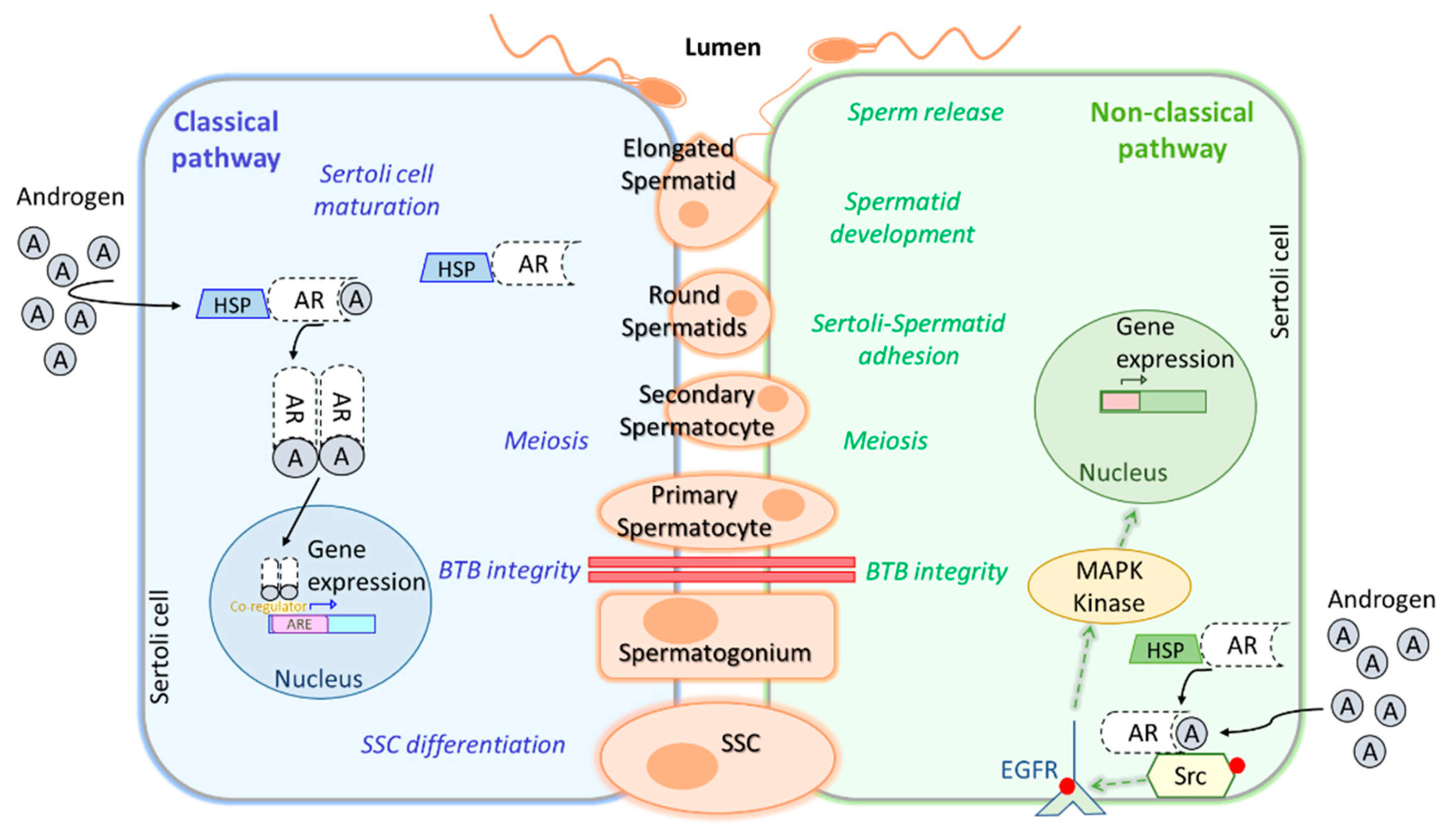 Preprints 151514 g003