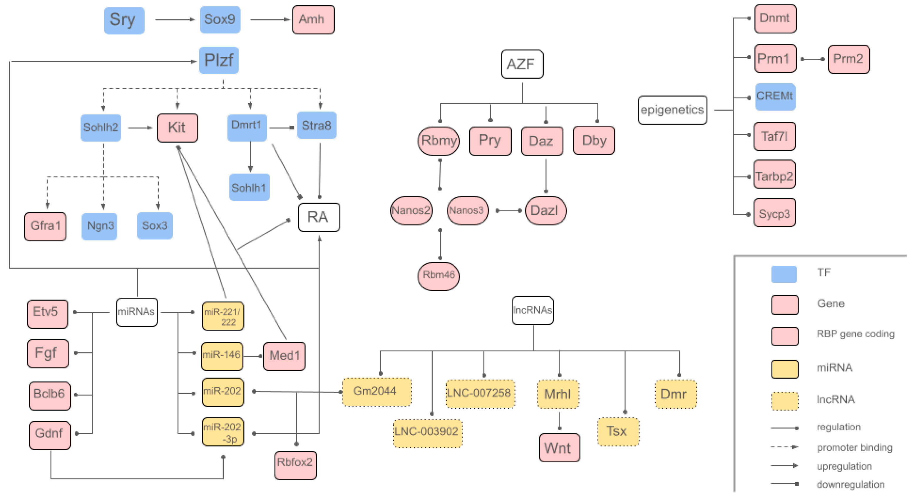 Preprints 151514 g004