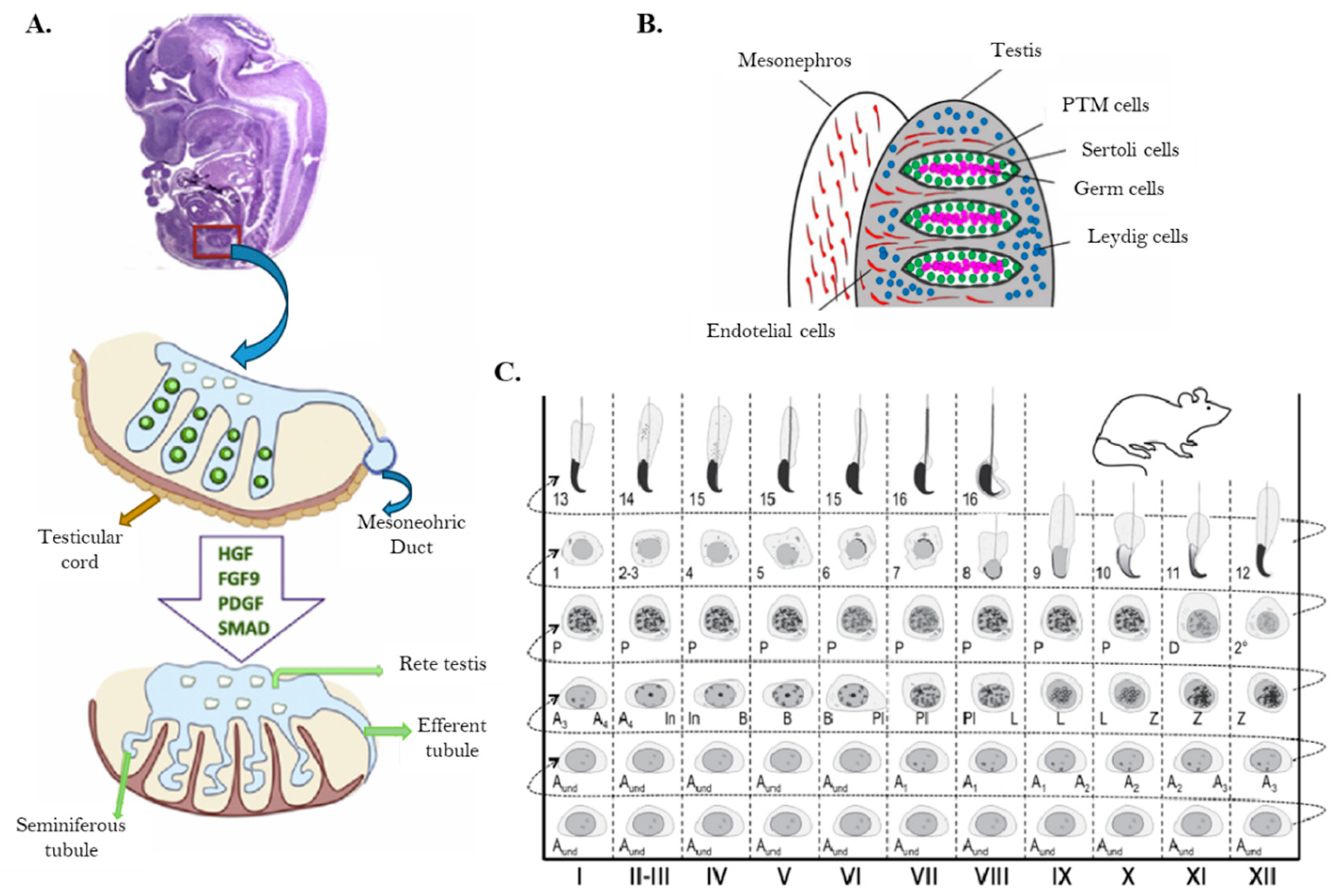 Preprints 151514 g005