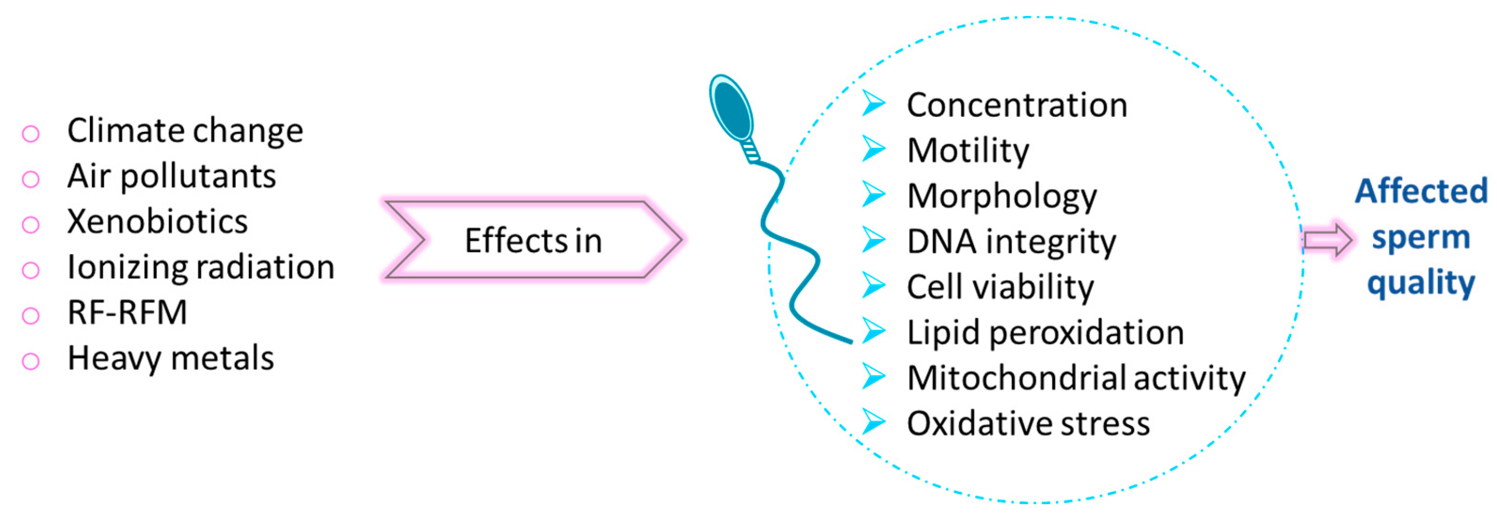 Preprints 151514 g006