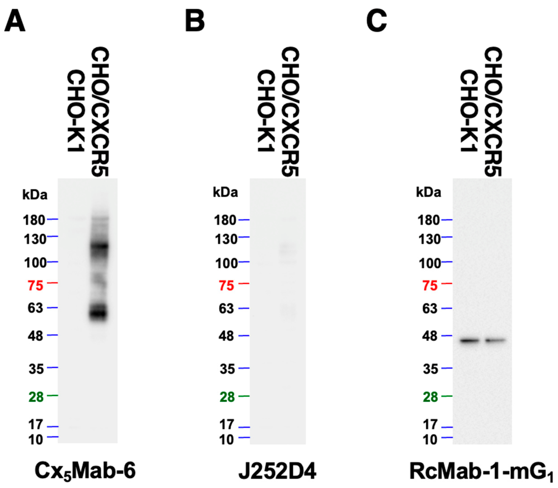 Preprints 227716 g006 Preprints 227716 g006