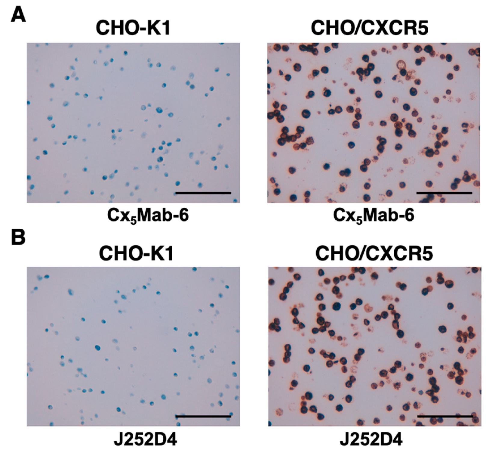 Preprints 227716 g007 Preprints 227716 g007