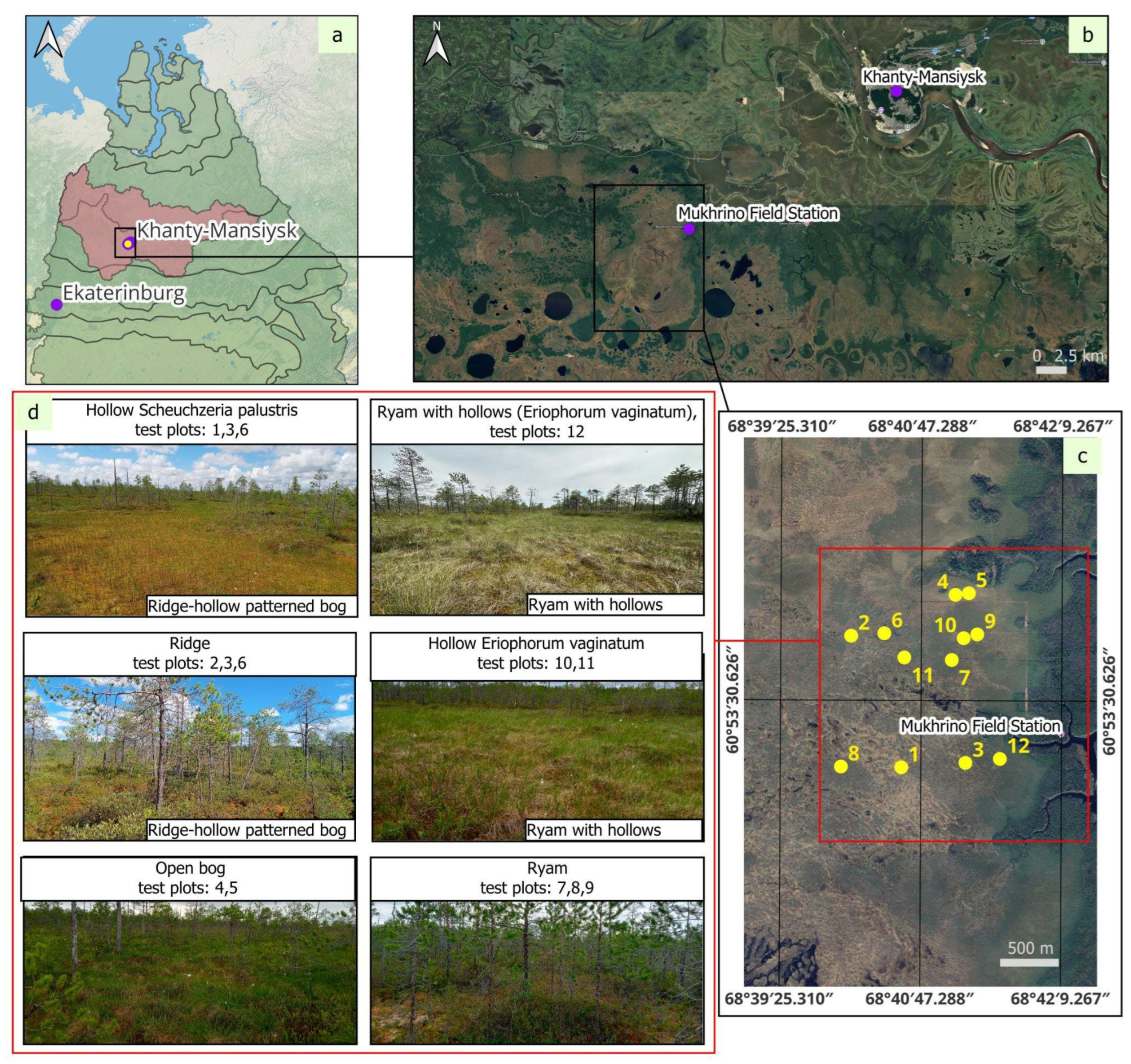 Preprints 189000 g001