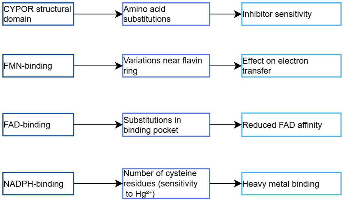Preprints 229879 g006