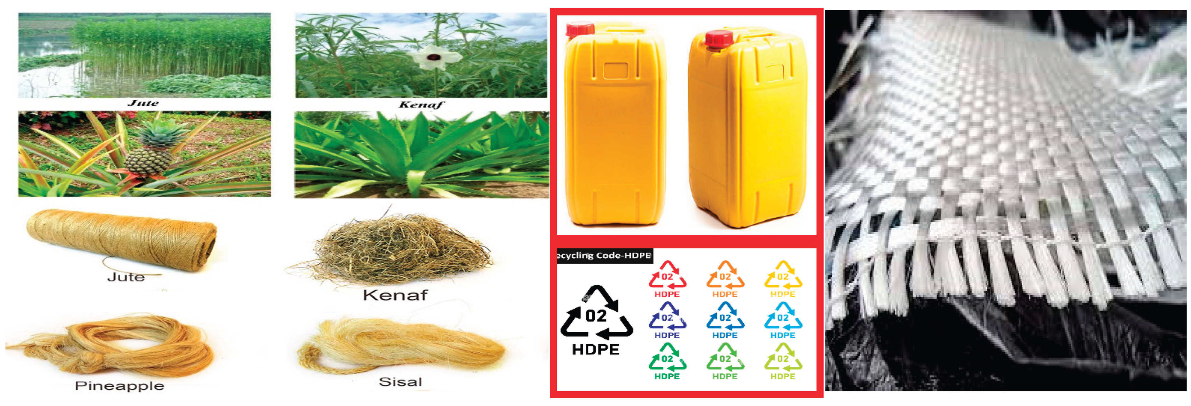 Preprints 169354 g001