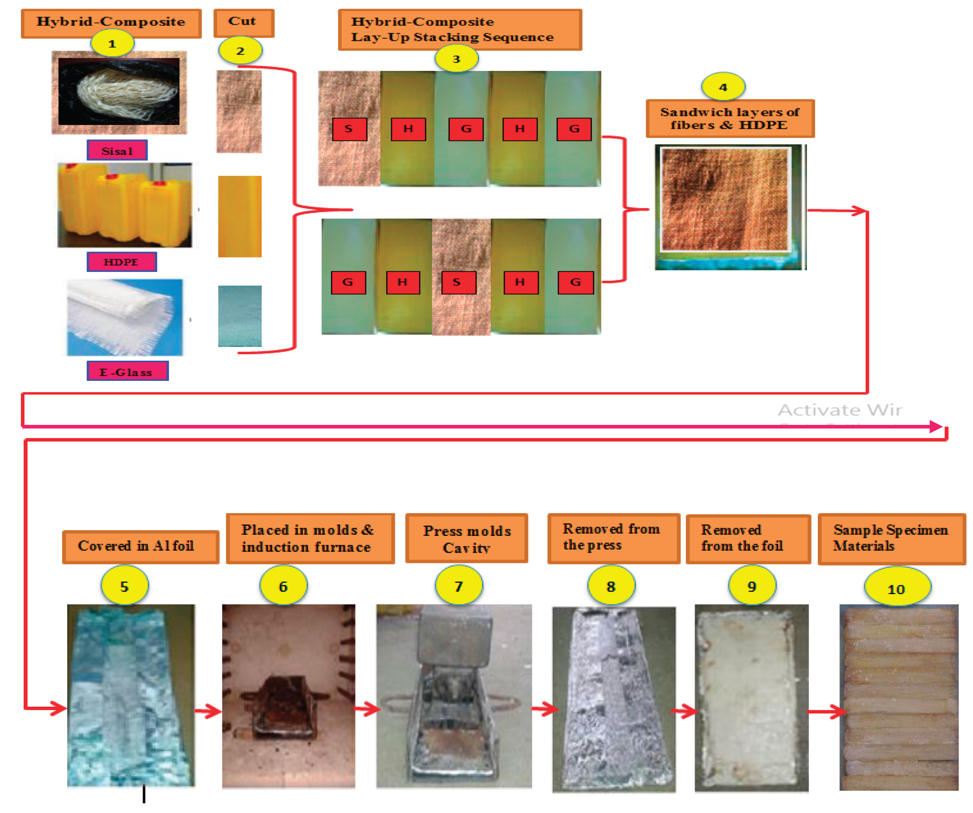Preprints 169354 g002