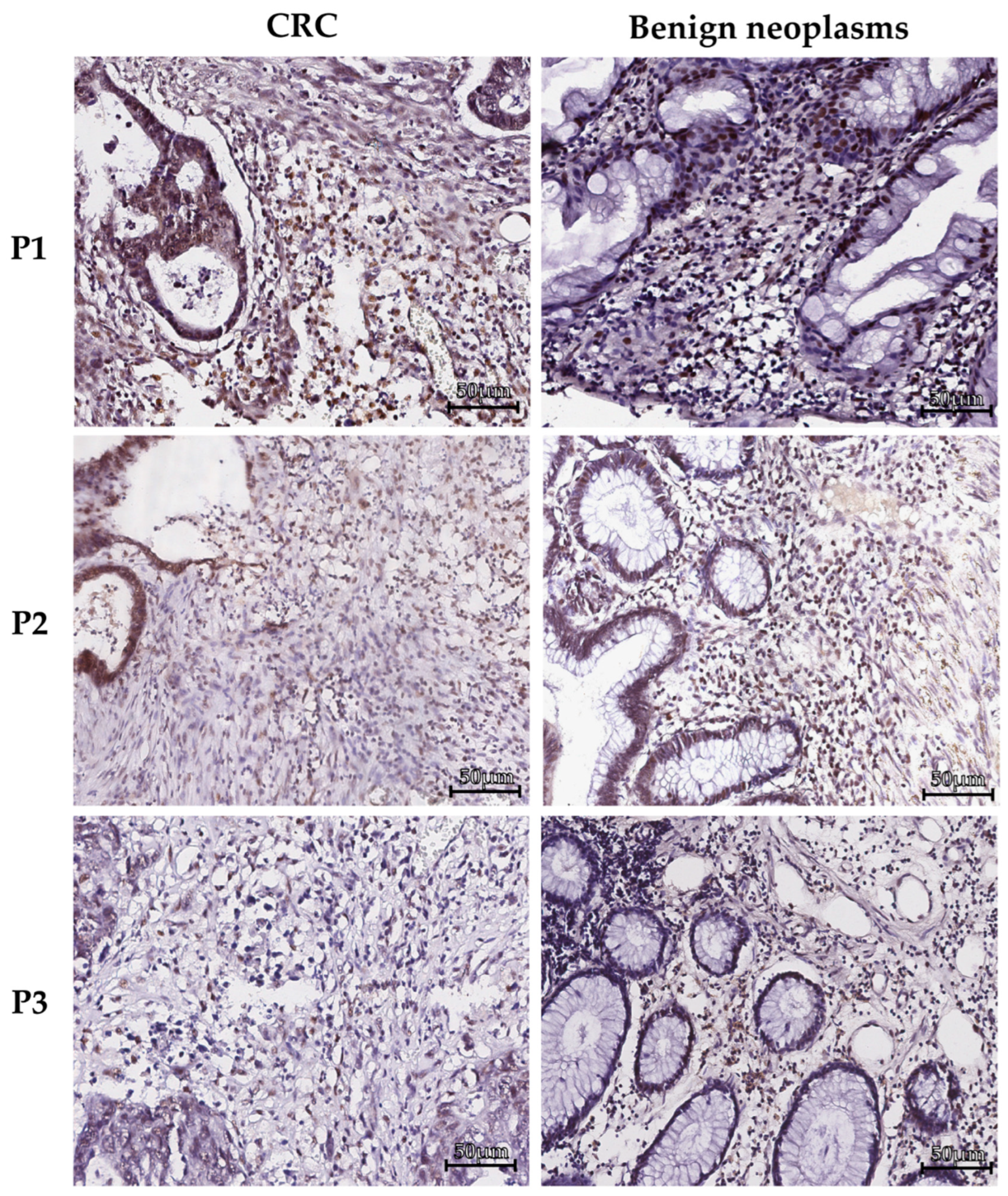 Preprints 180368 g001