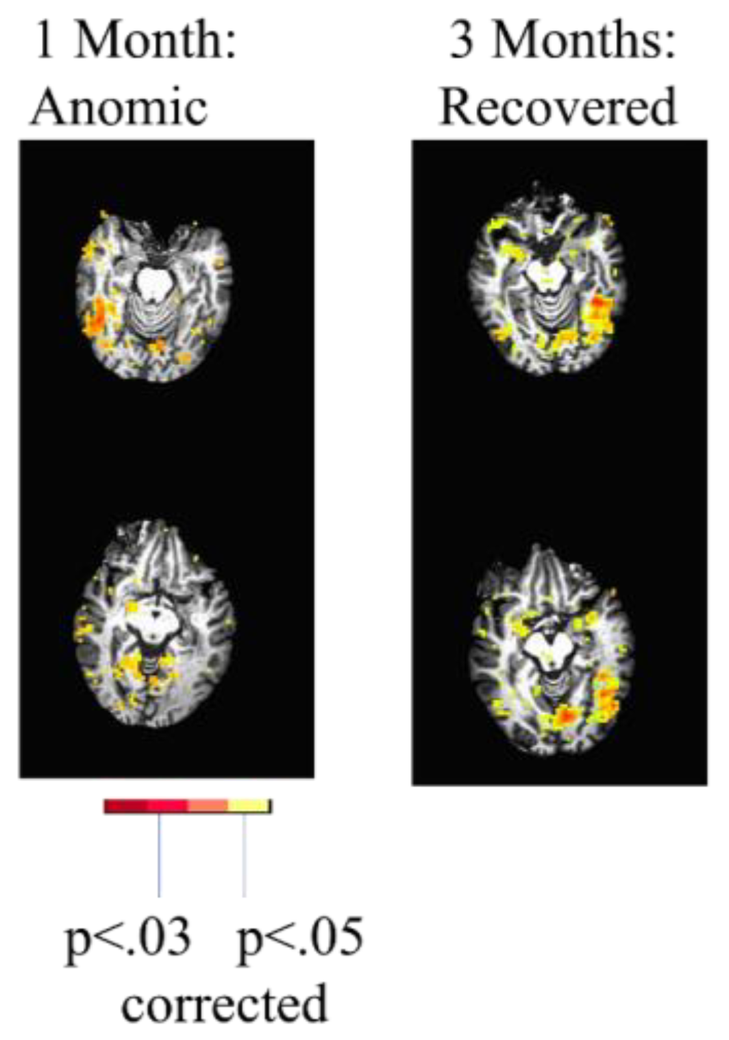 Preprints 165246 g001