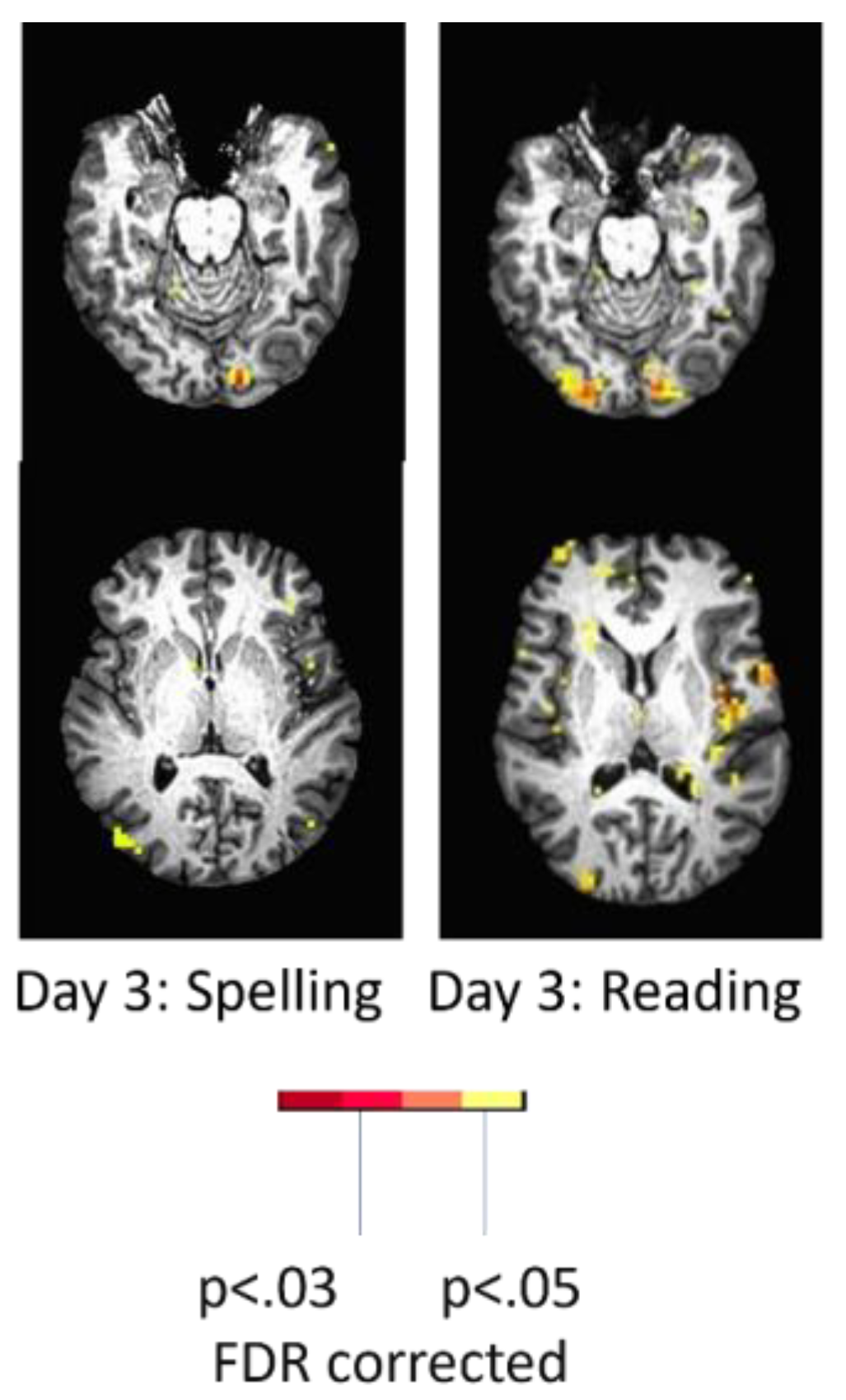Preprints 165246 g004