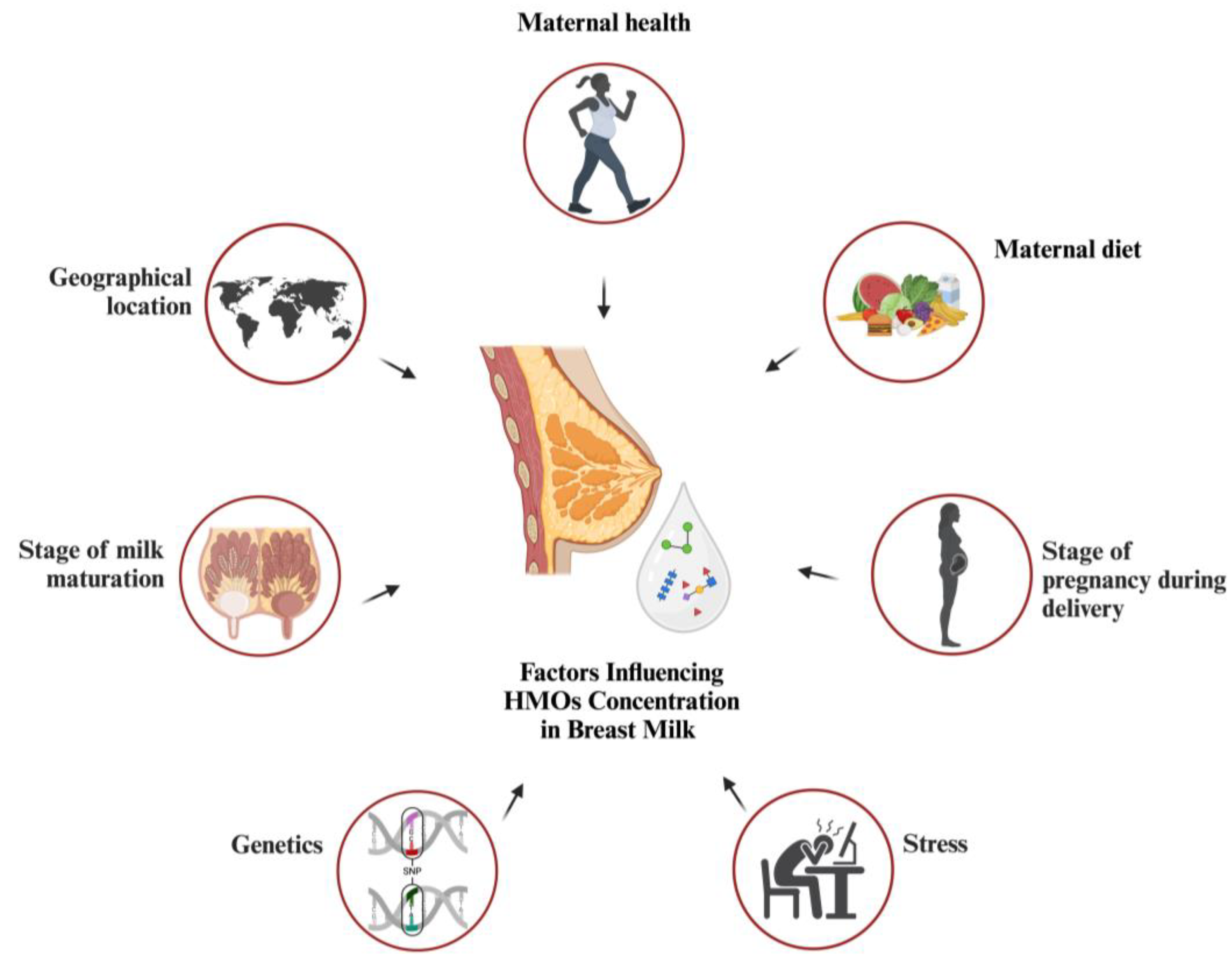 Preprints 141541 g002