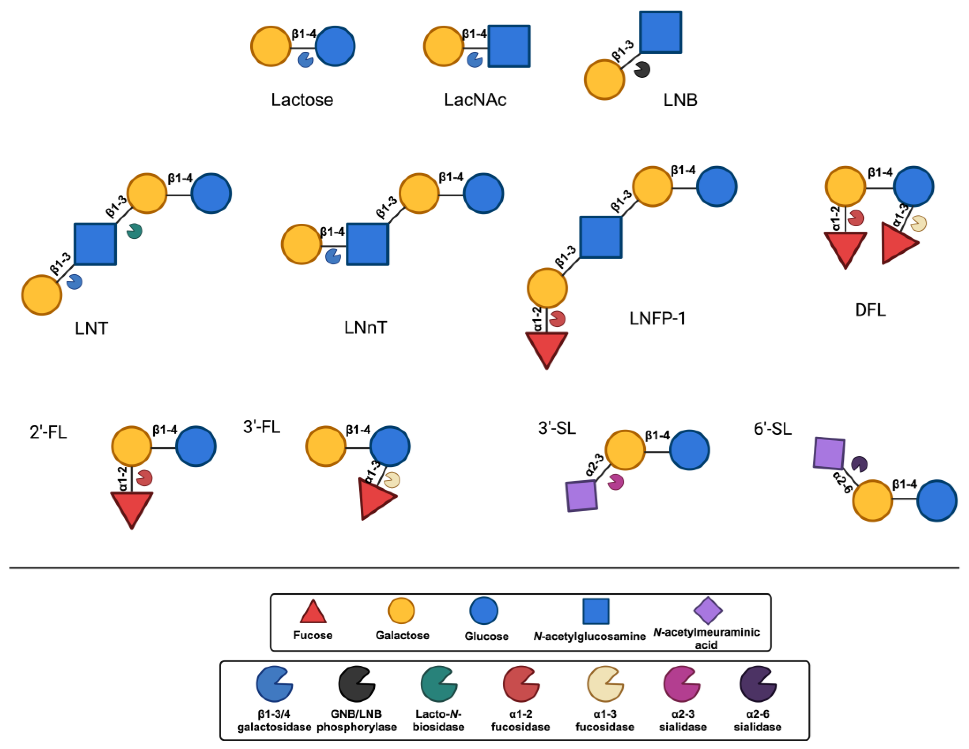 Preprints 141541 g003
